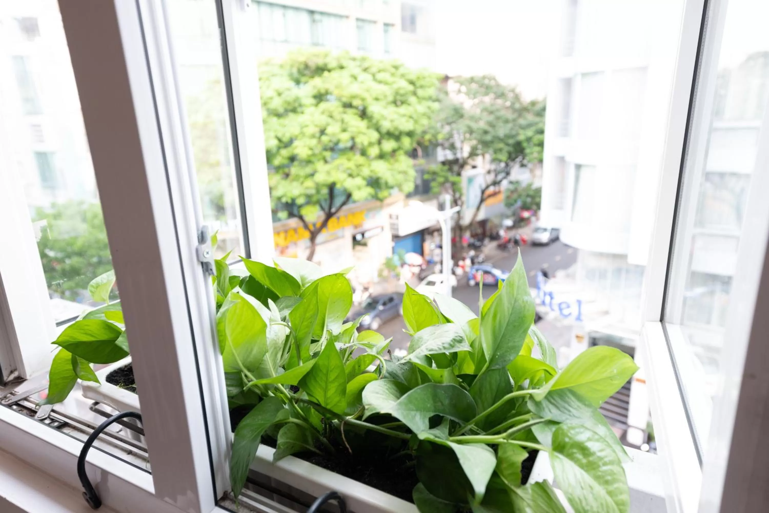 View (from property/room) in Quy Hung Hotel Central