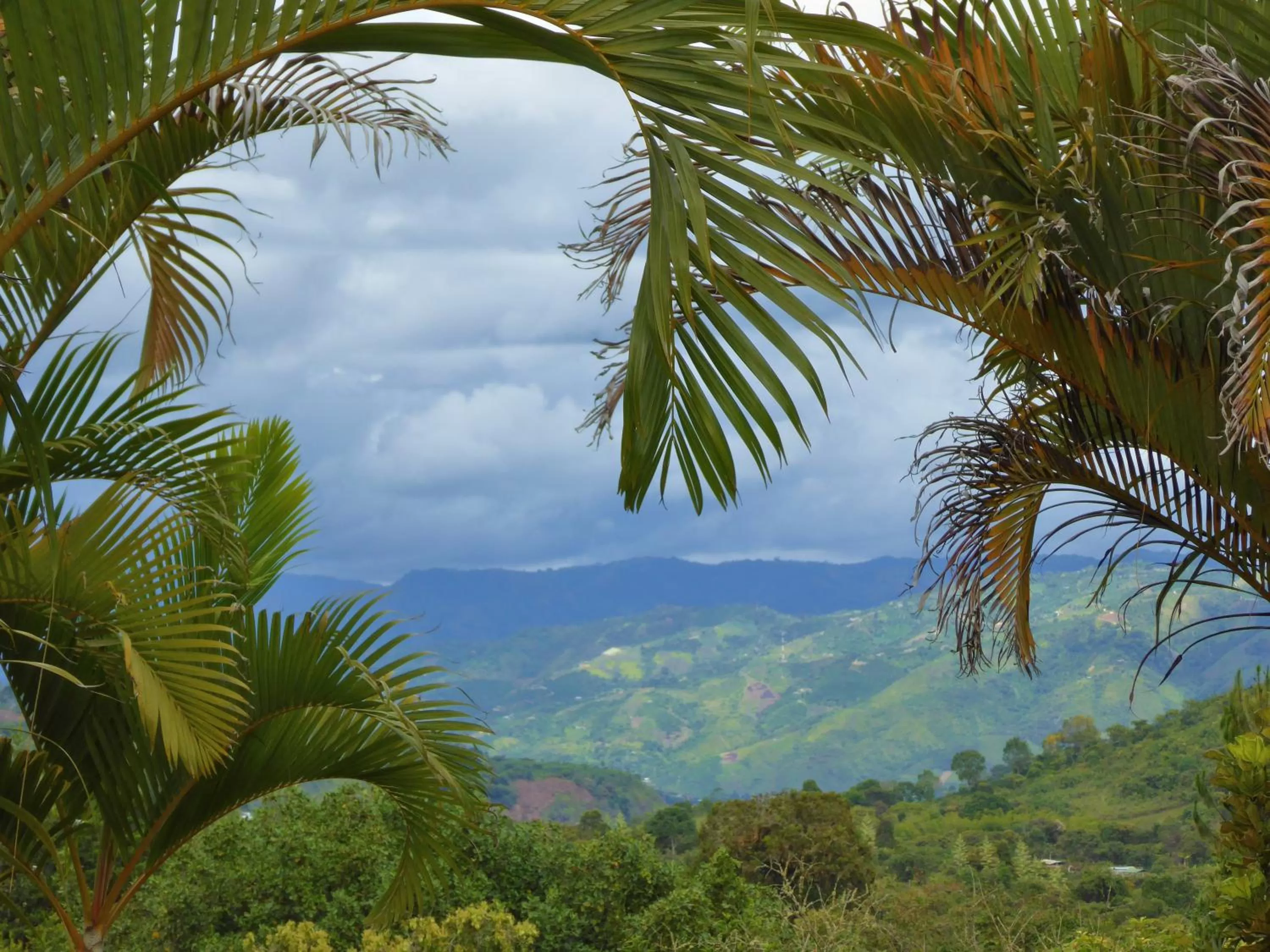 Natural landscape in Finca El Cielo