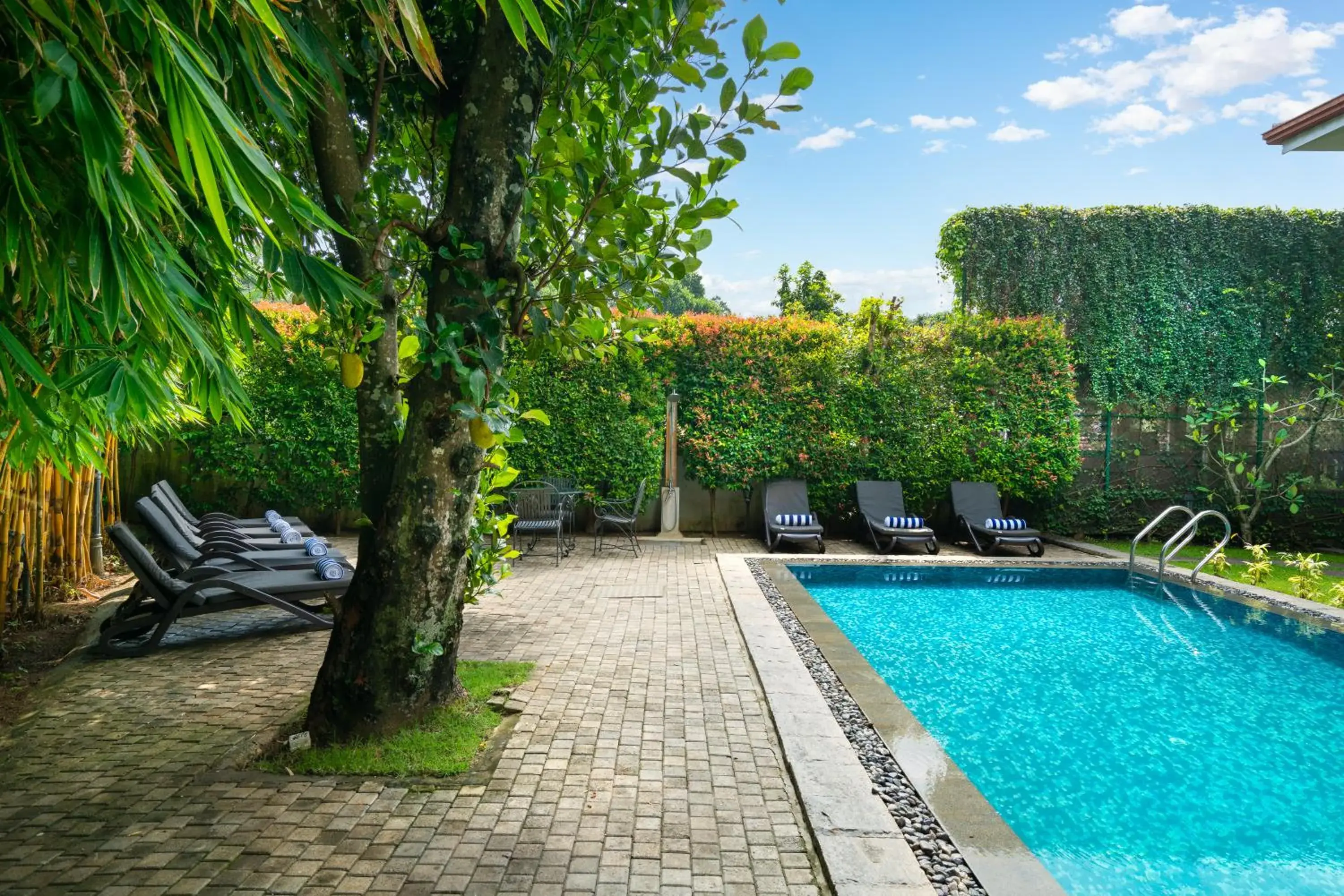 Day, Swimming Pool in Clove Villa