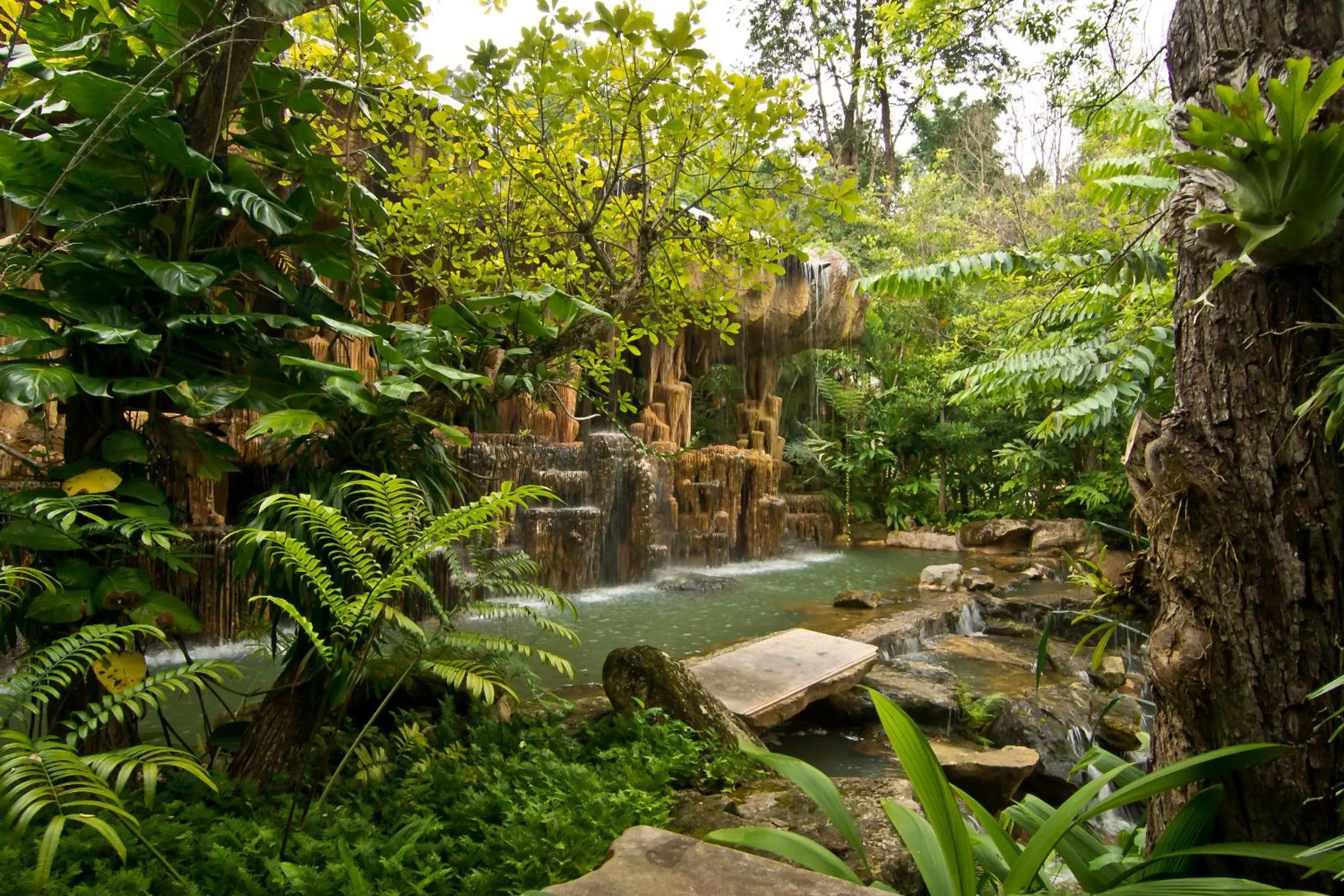 Other in Panviman Chiang Mai Spa Resort