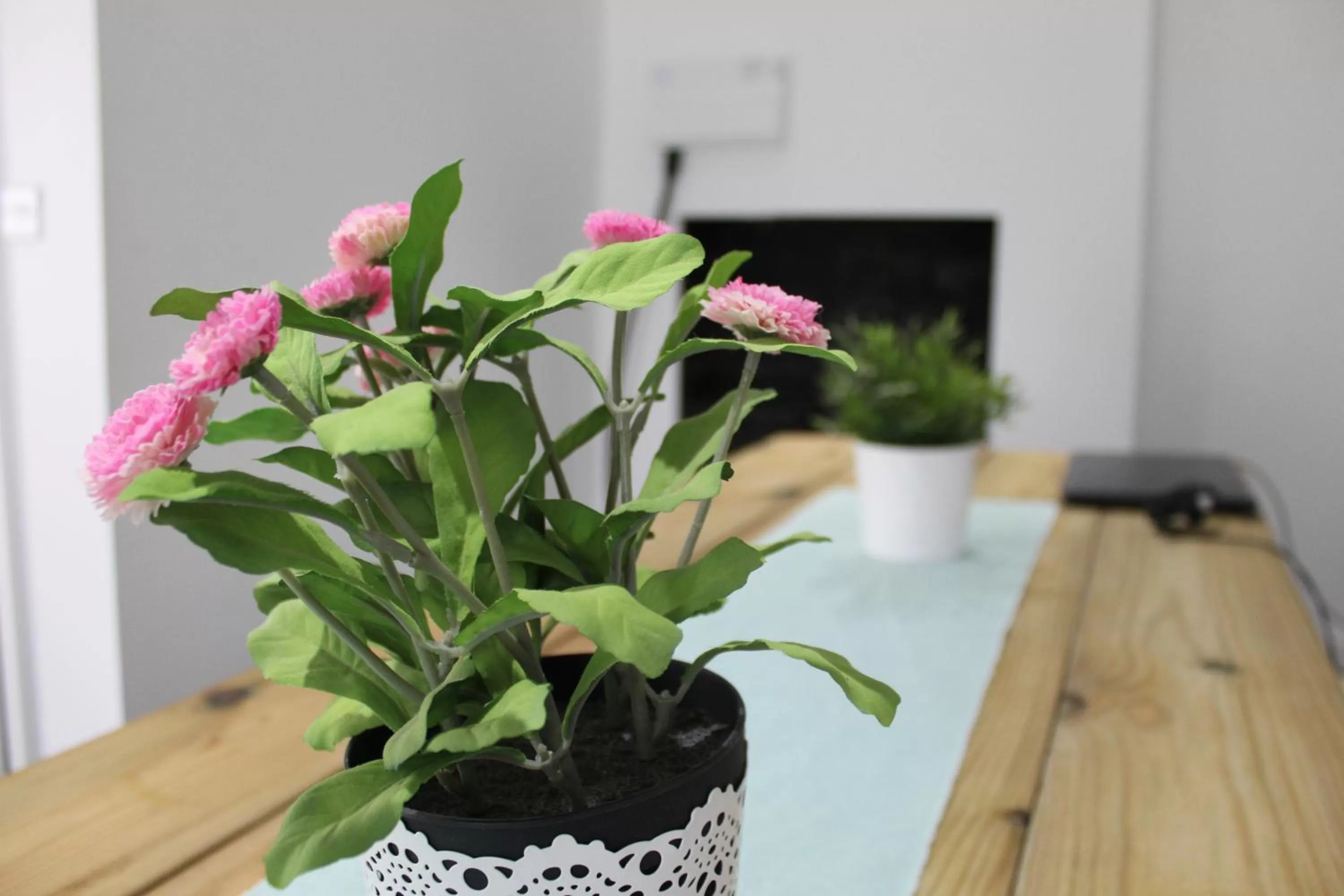 The Veteran Hotel & Bar