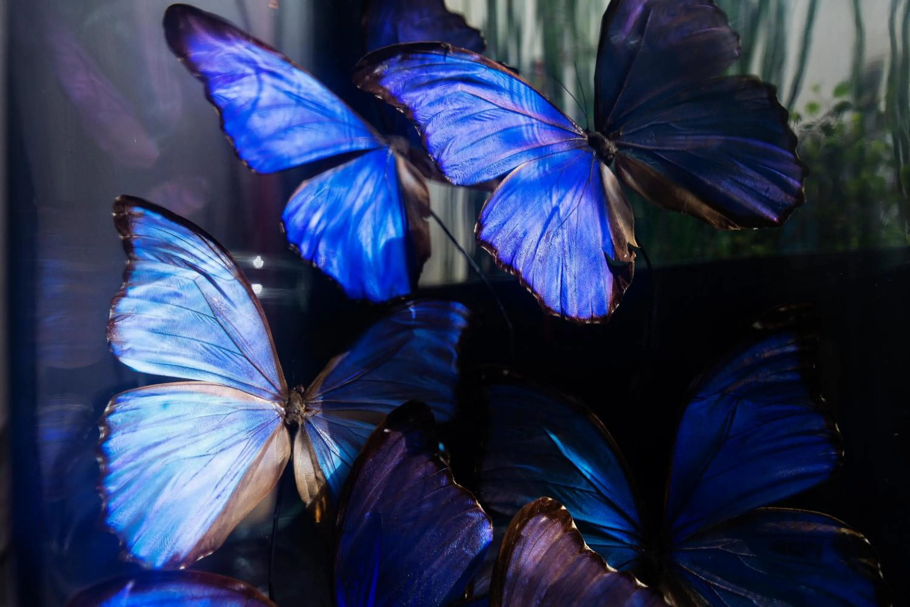 Decorative detail in Hôtel Molière