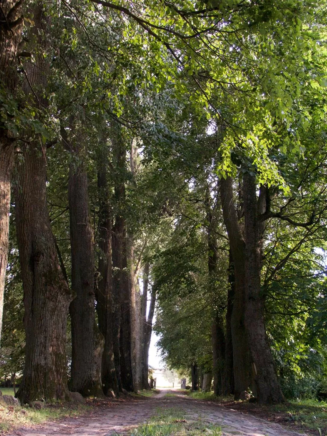 Spring in Dom na Mazurach Pilec