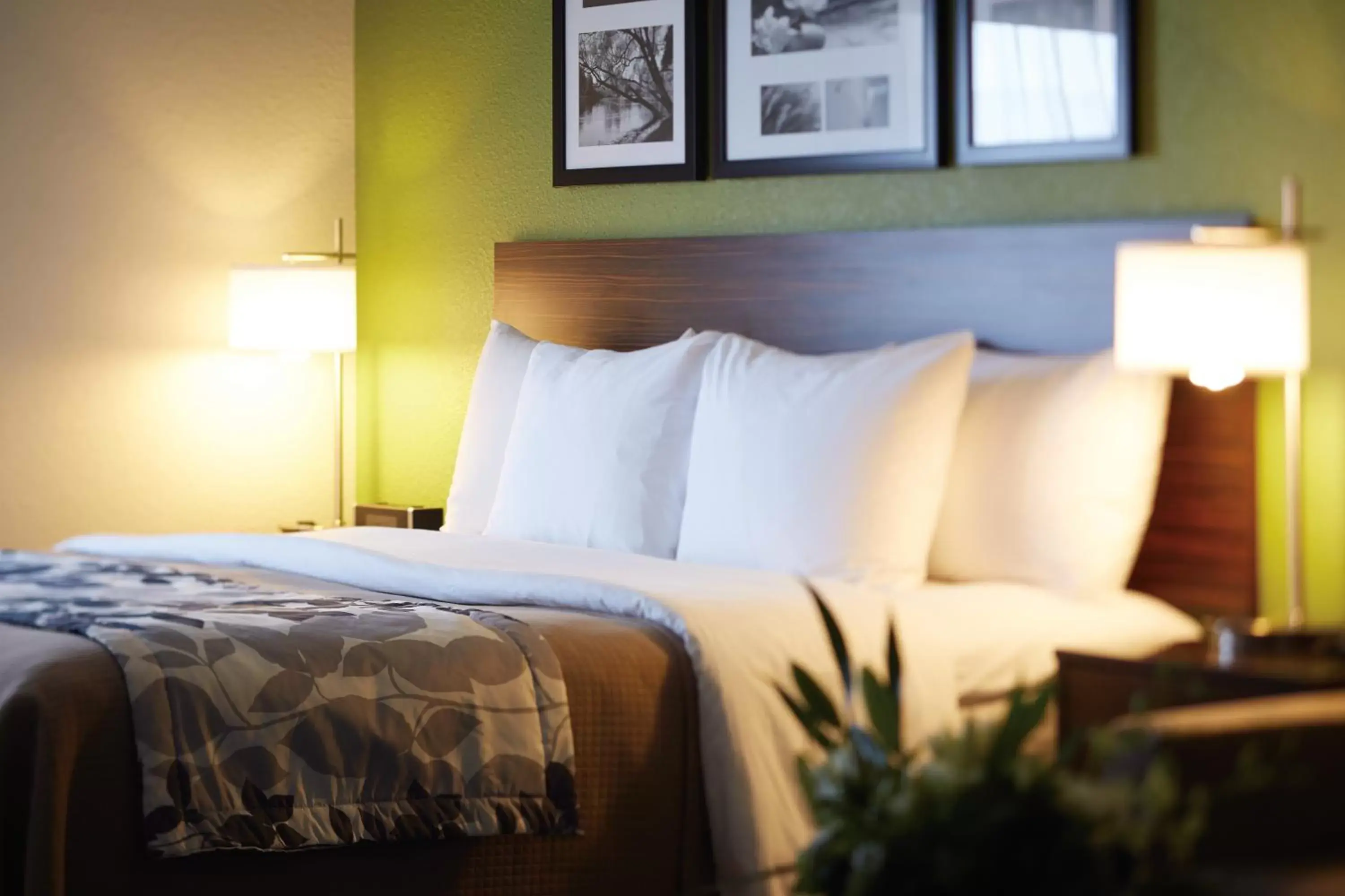 Bedroom, Bed in Sleep Inn Regina East