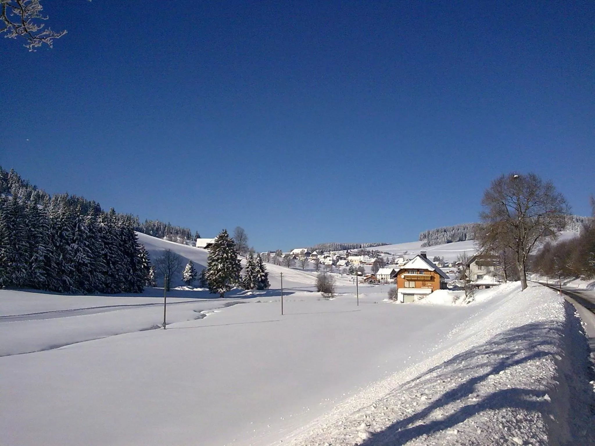 Natural landscape in ZUR TRAUBE Schwarzwaldhotel & Restaurant am Titisee