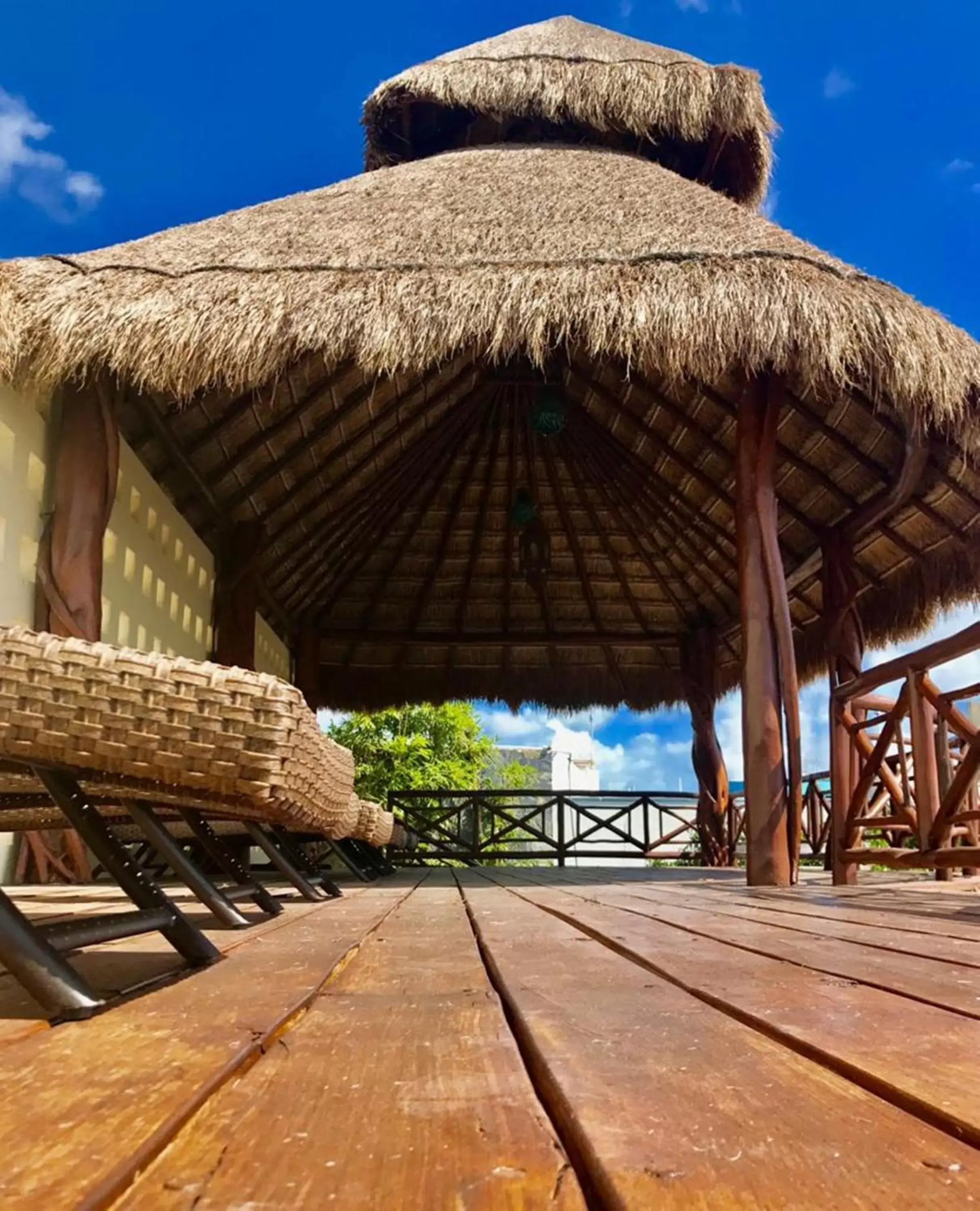 Patio, Swimming Pool in Hotel Cielo