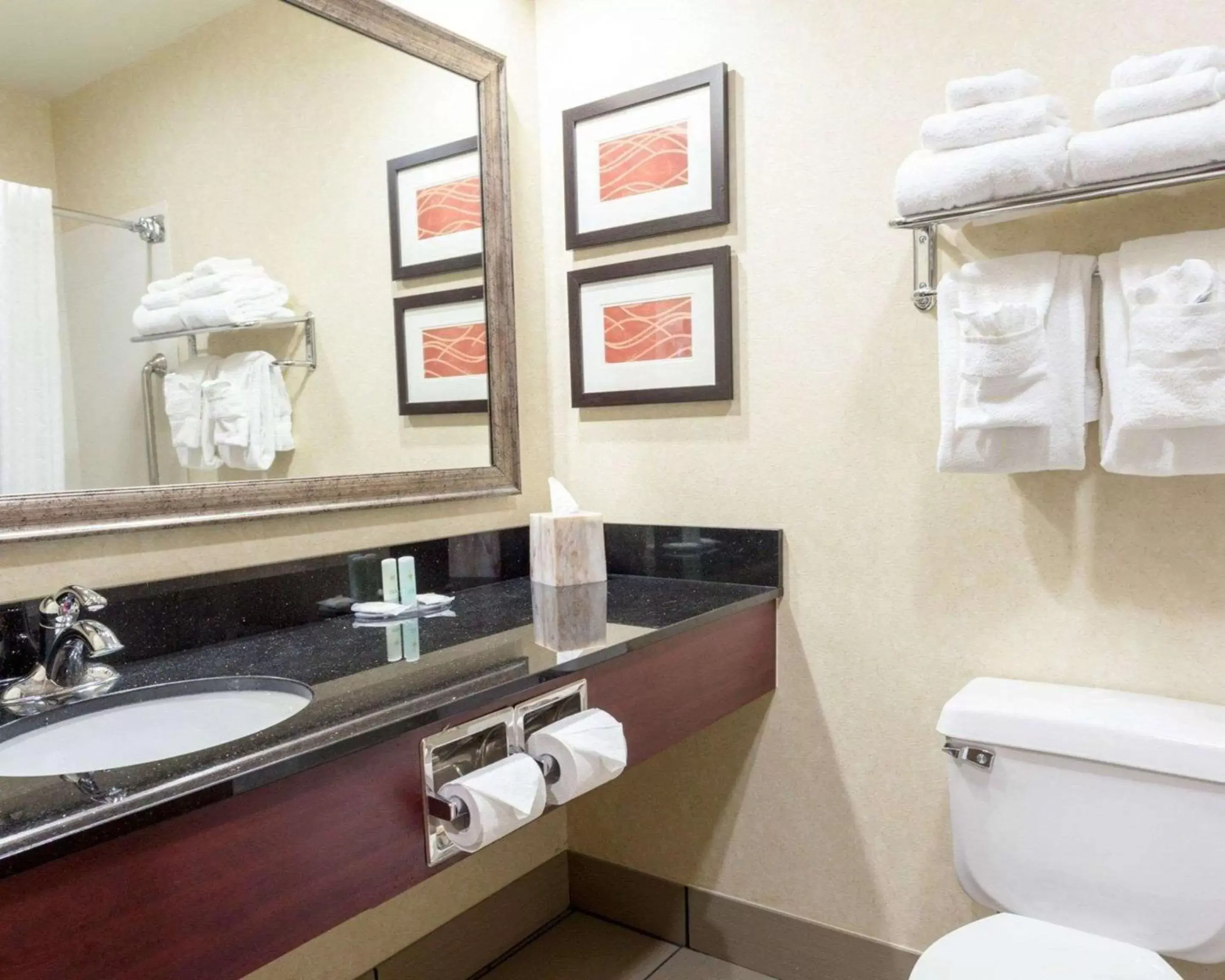 Bathroom in Comfort Inn Civic Center