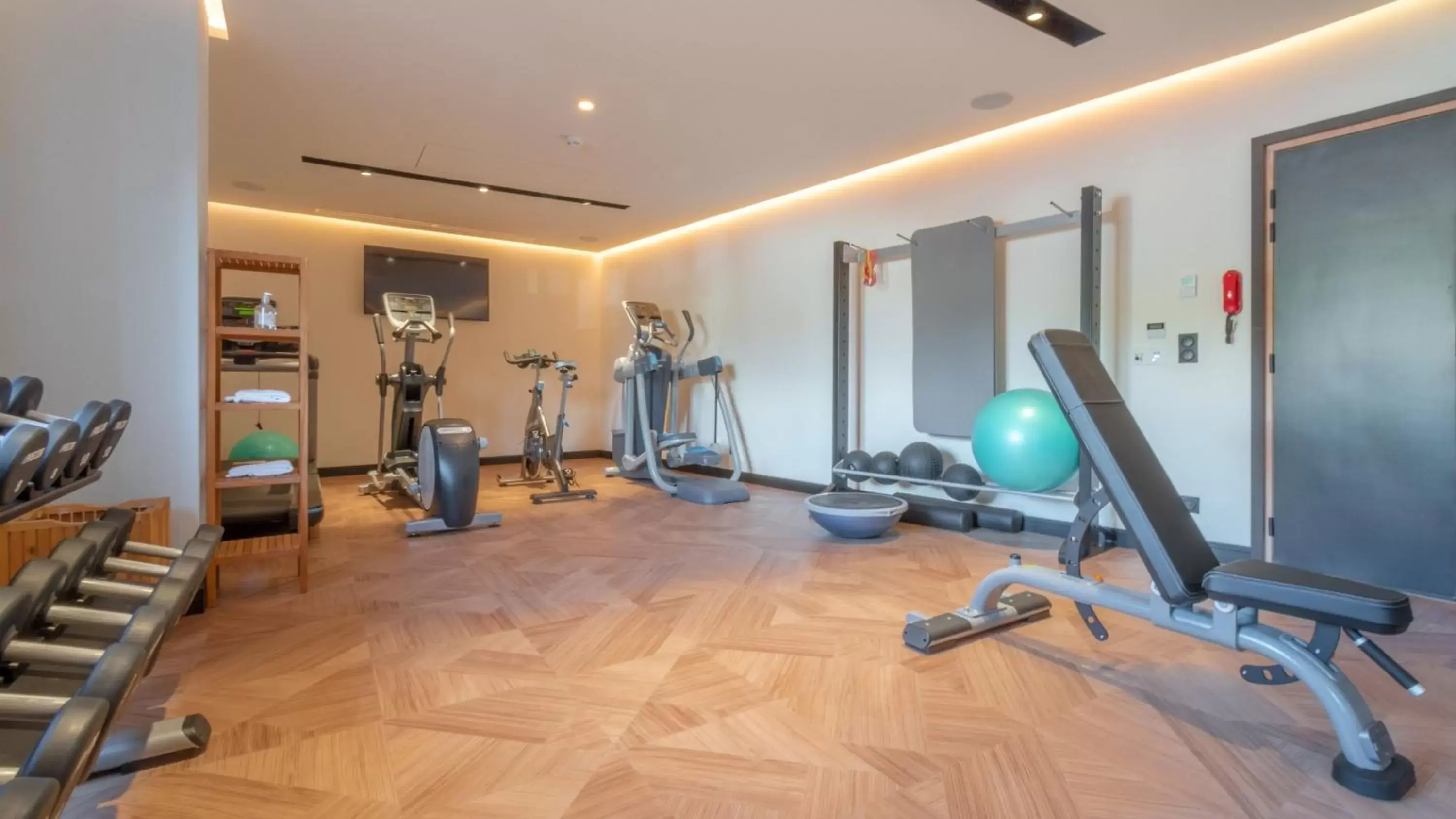 Fitness centre/facilities, Fitness Center/Facilities in Holiday Inn Nice - Port St Laurent, an IHG Hotel