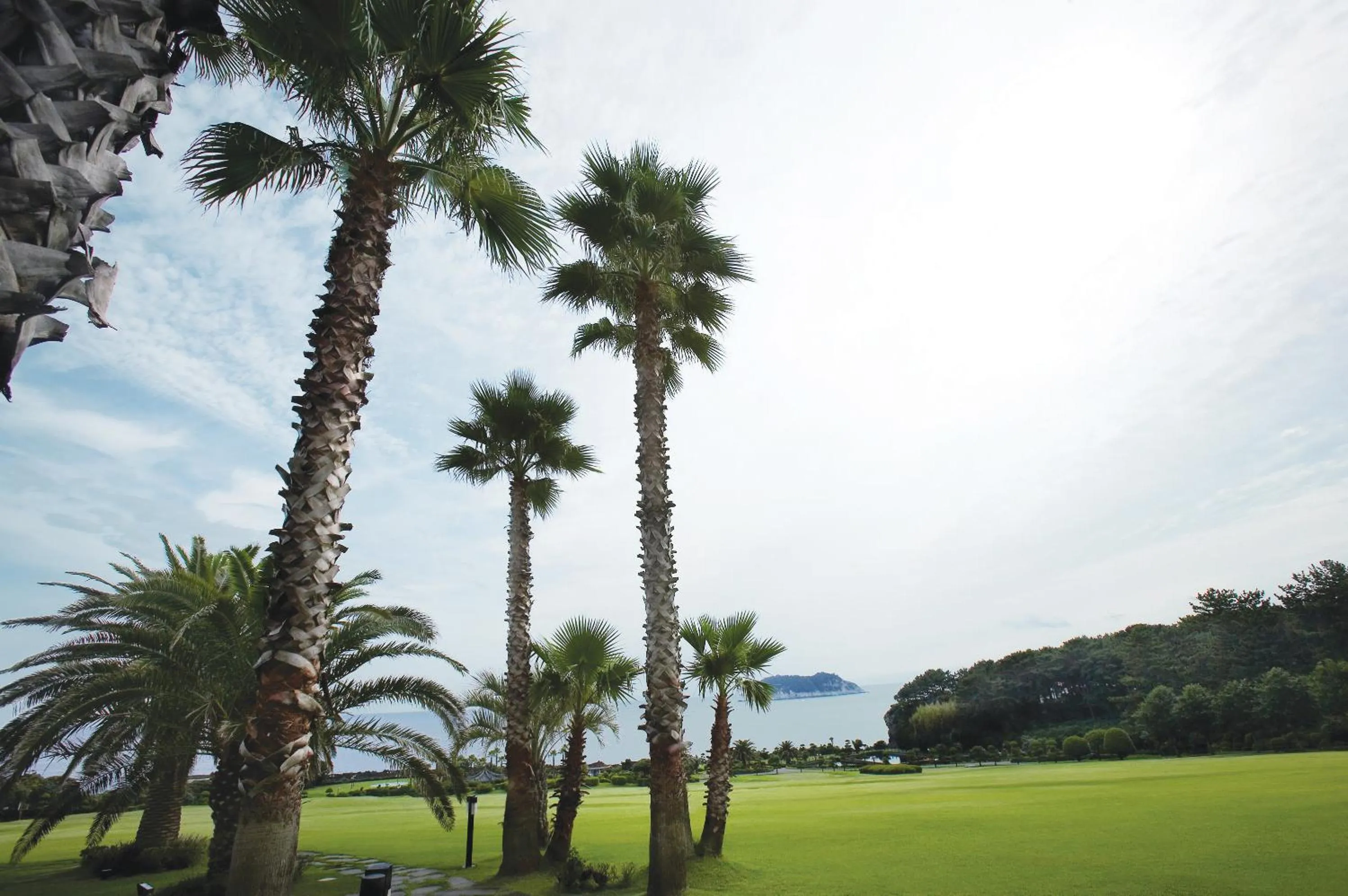 Garden in Seogwipo KAL Hotel