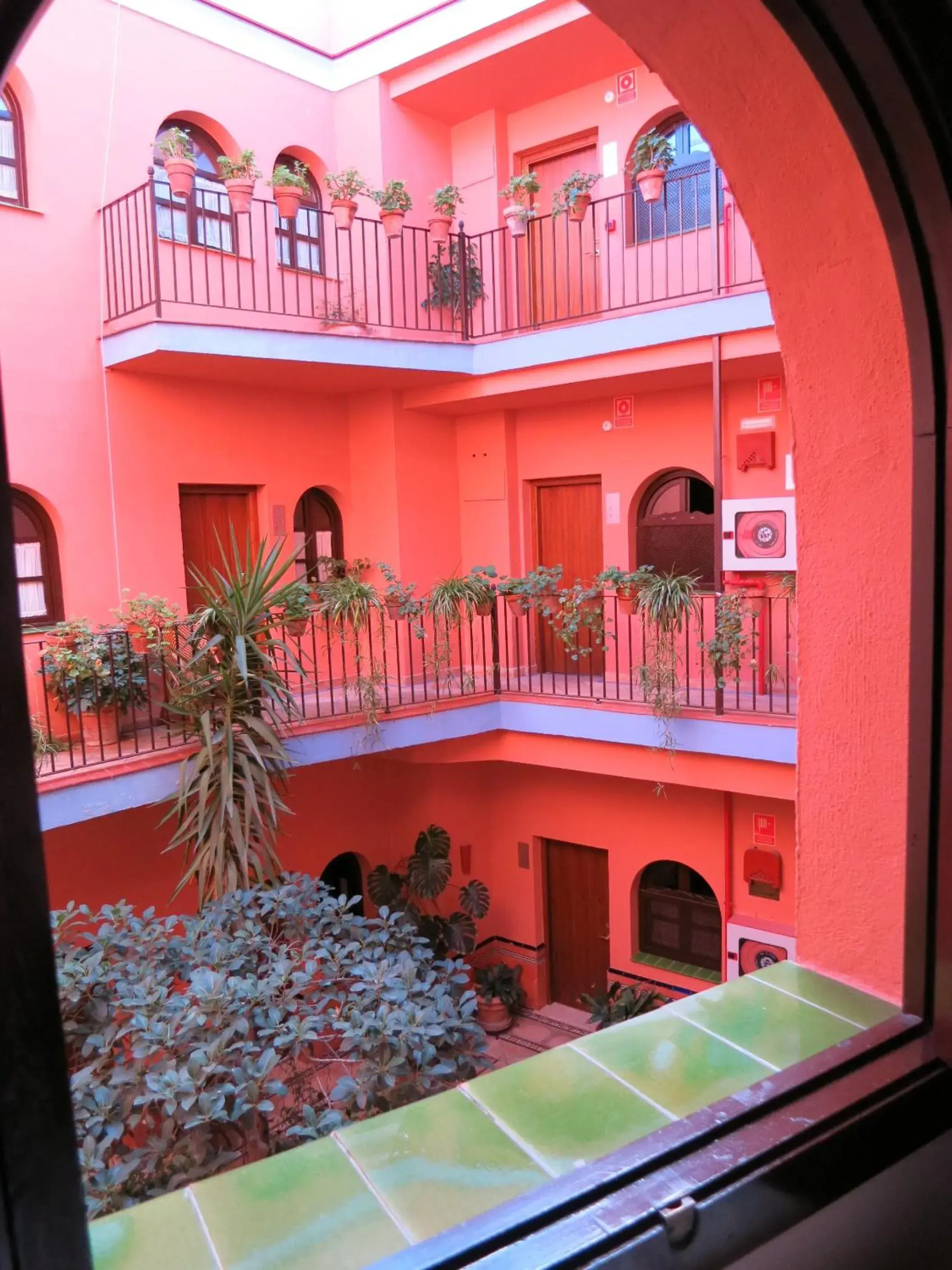 Patio in Patio de La Alameda