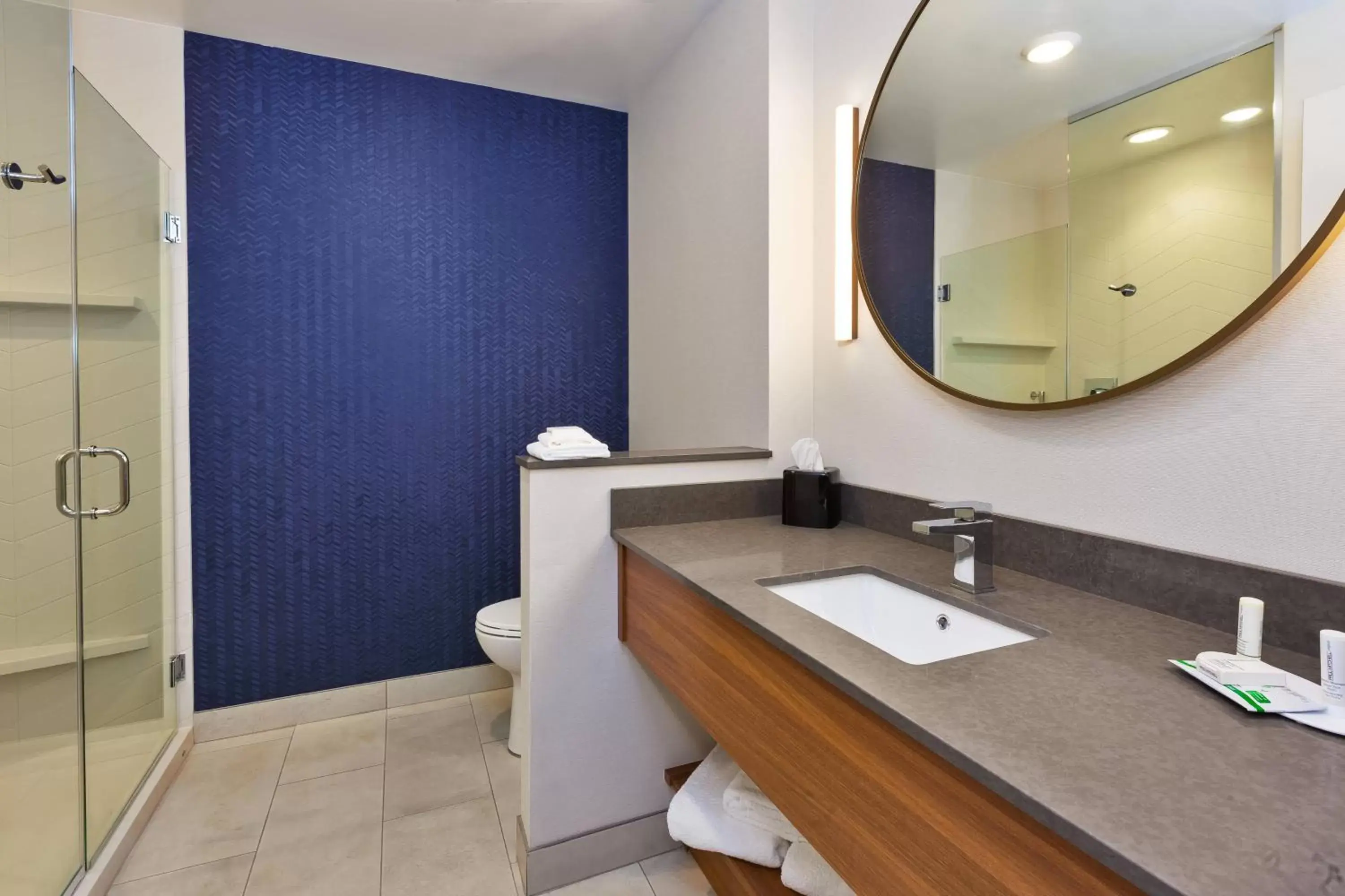 Bathroom in Fairfield by Marriott Inn & Suites Knoxville Airport Alcoa