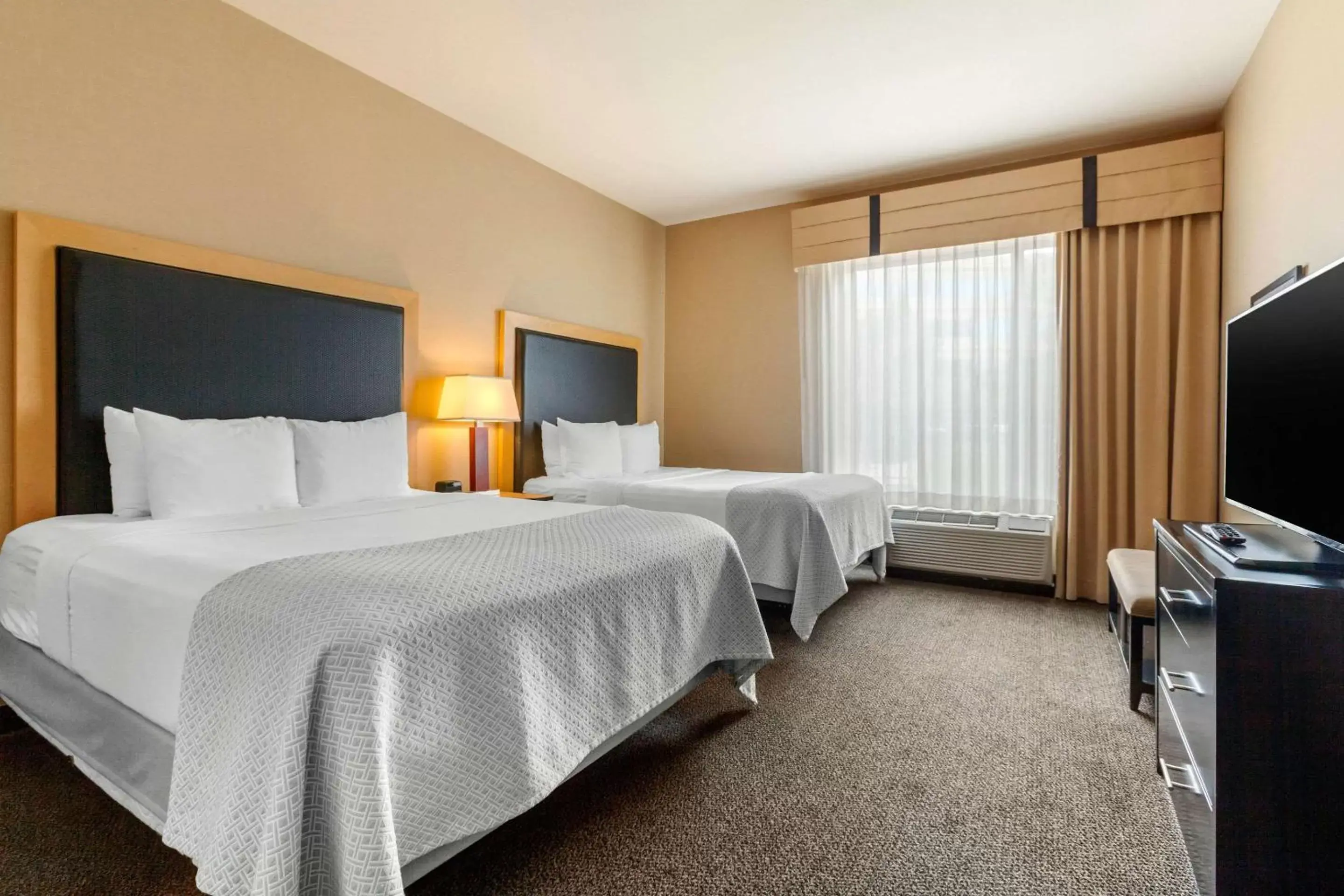 Queen Suite with Sofa Bed in Cambria Hotel Denver International Airport
