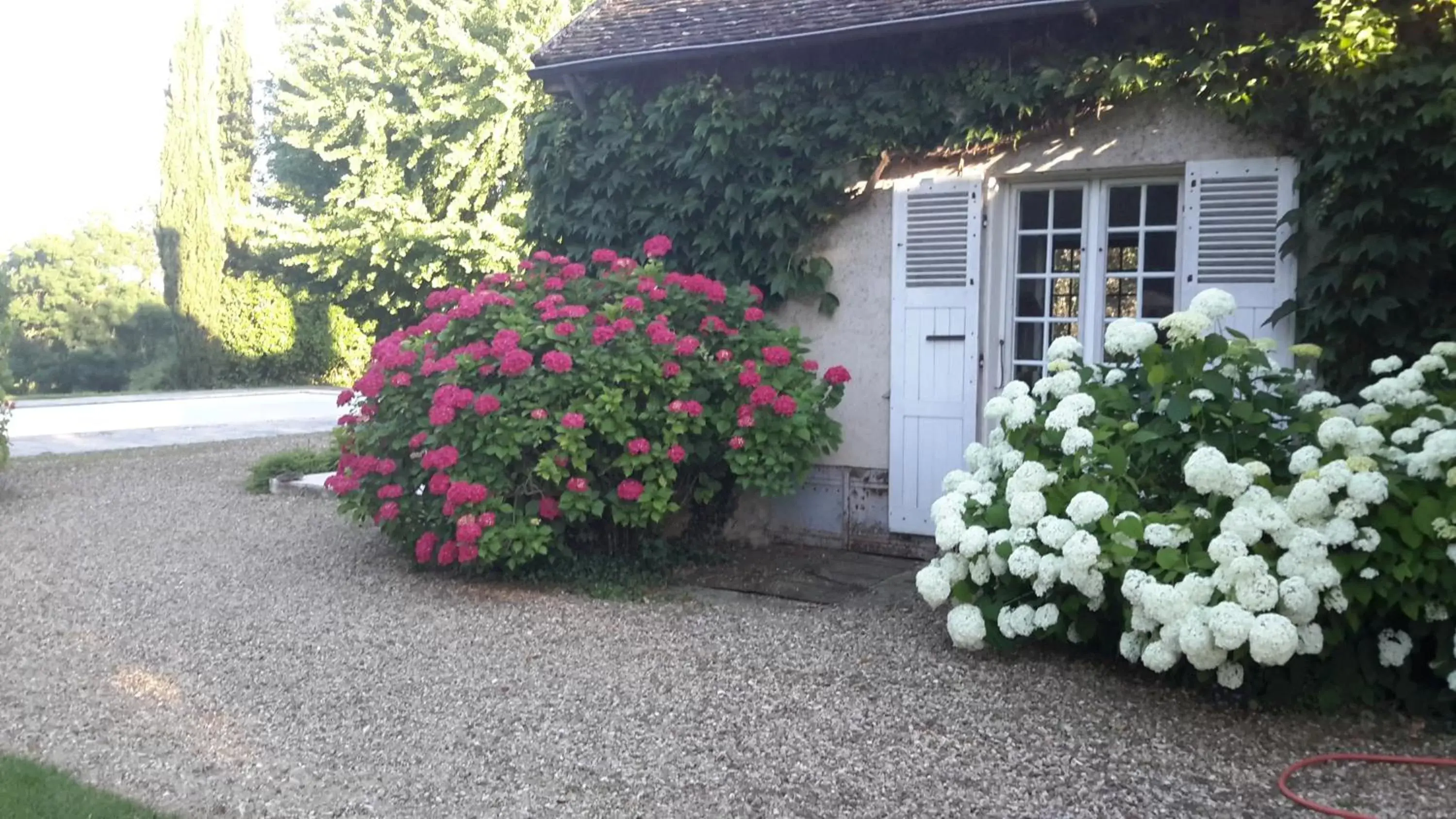 Garden, Property Building in Domaine De L´Oiseau