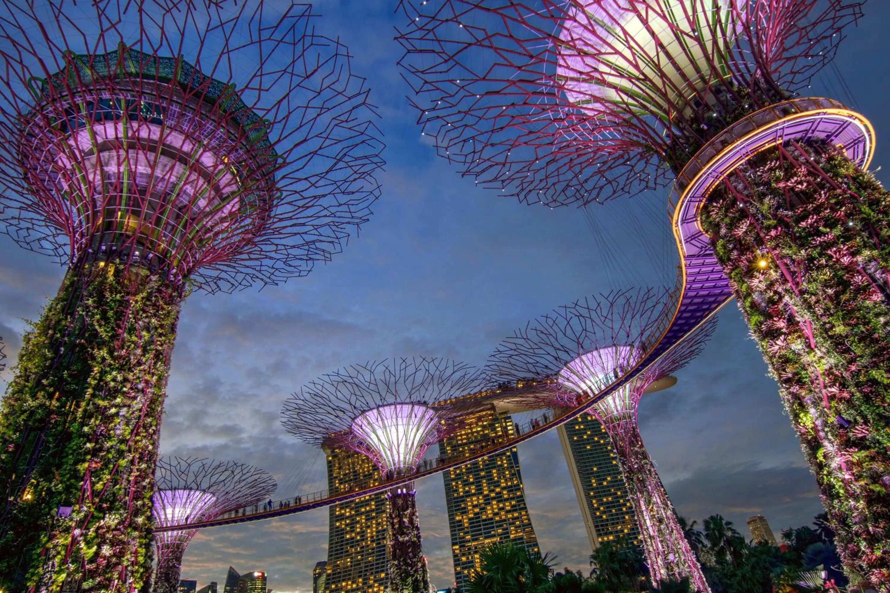 Area and facilities in Holiday Inn Express Singapore Clarke Quay by IHG