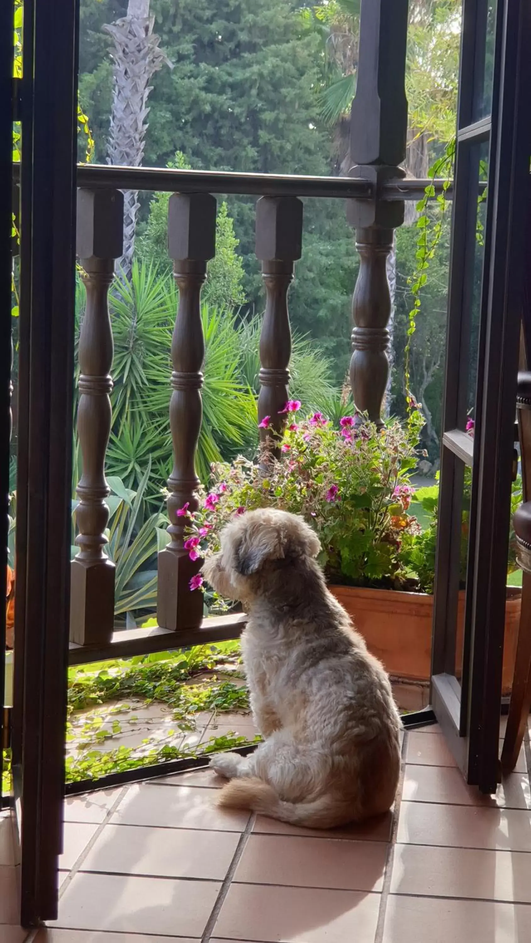 Garden, Pets in La Casa del Torreón