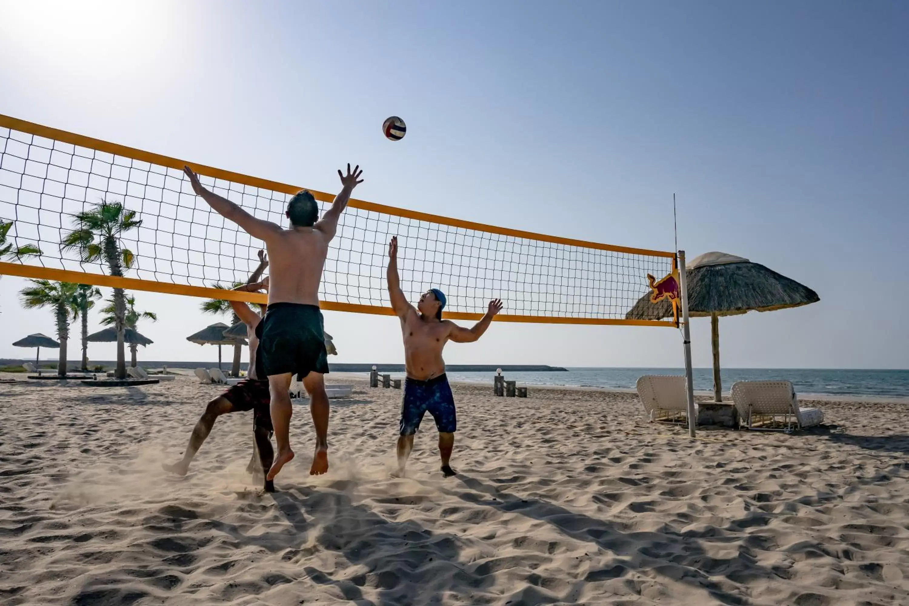 Beach, Other Activities in The Cove Rotana Resort - Ras Al Khaimah
