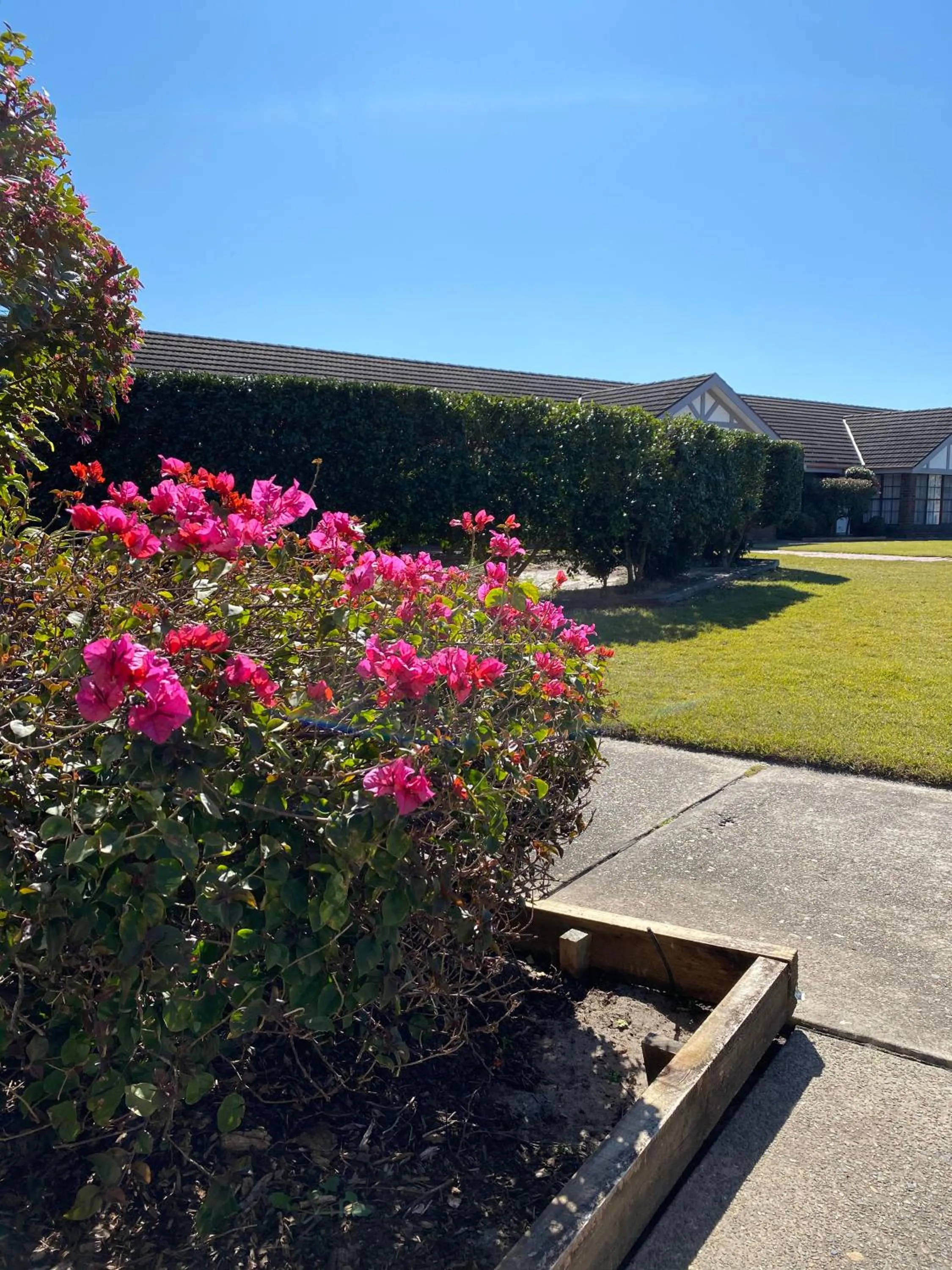 Garden in Sir Francis Drake