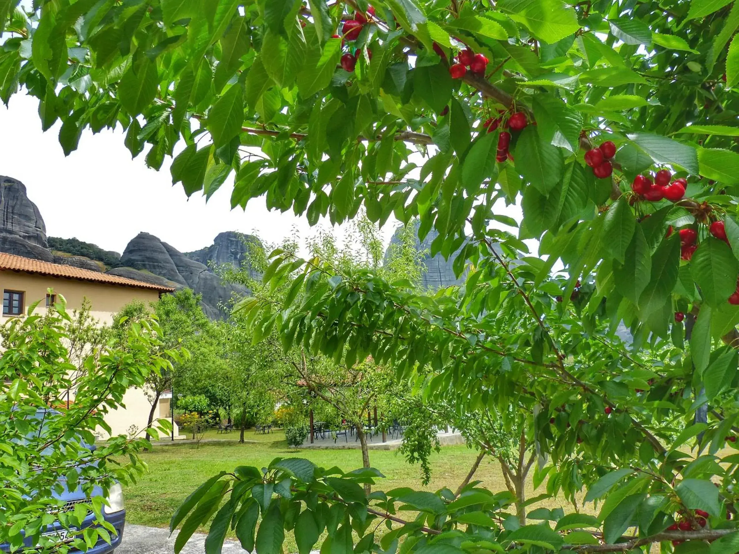 Garden in Hotel Doupiani House