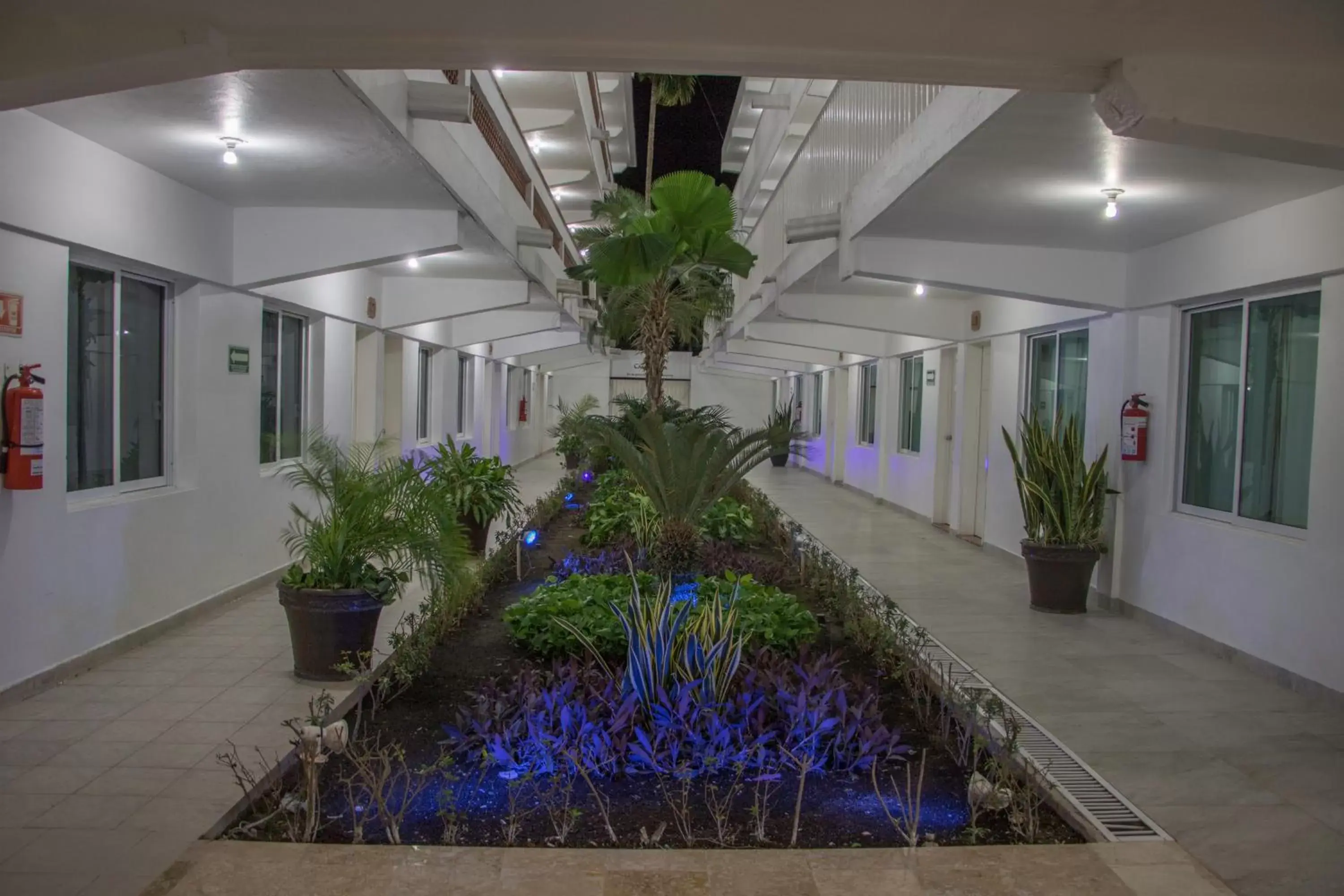 Garden view in Hotel Casa Blanca