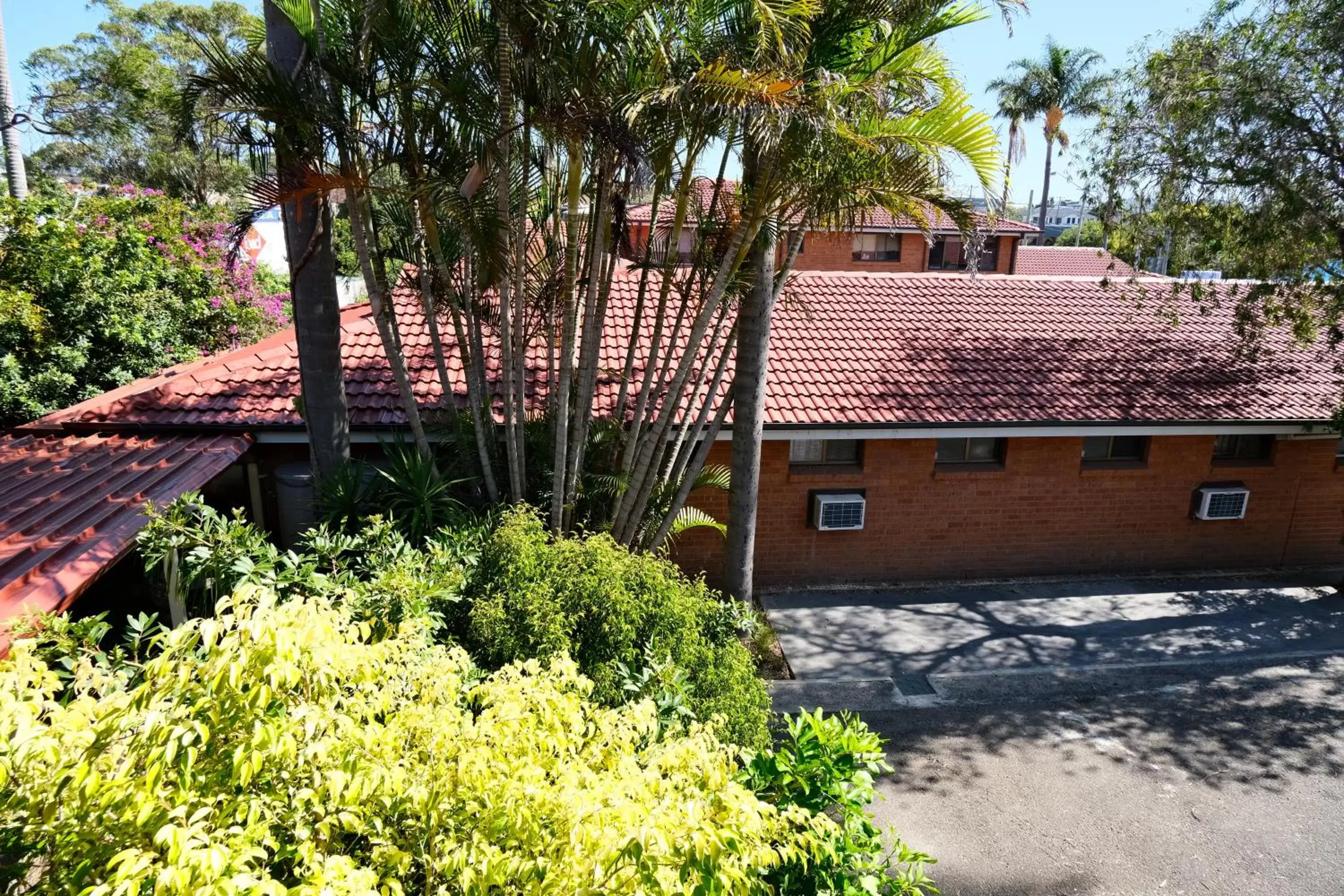 Garden view, Property Building in Sapphire Palms Motel