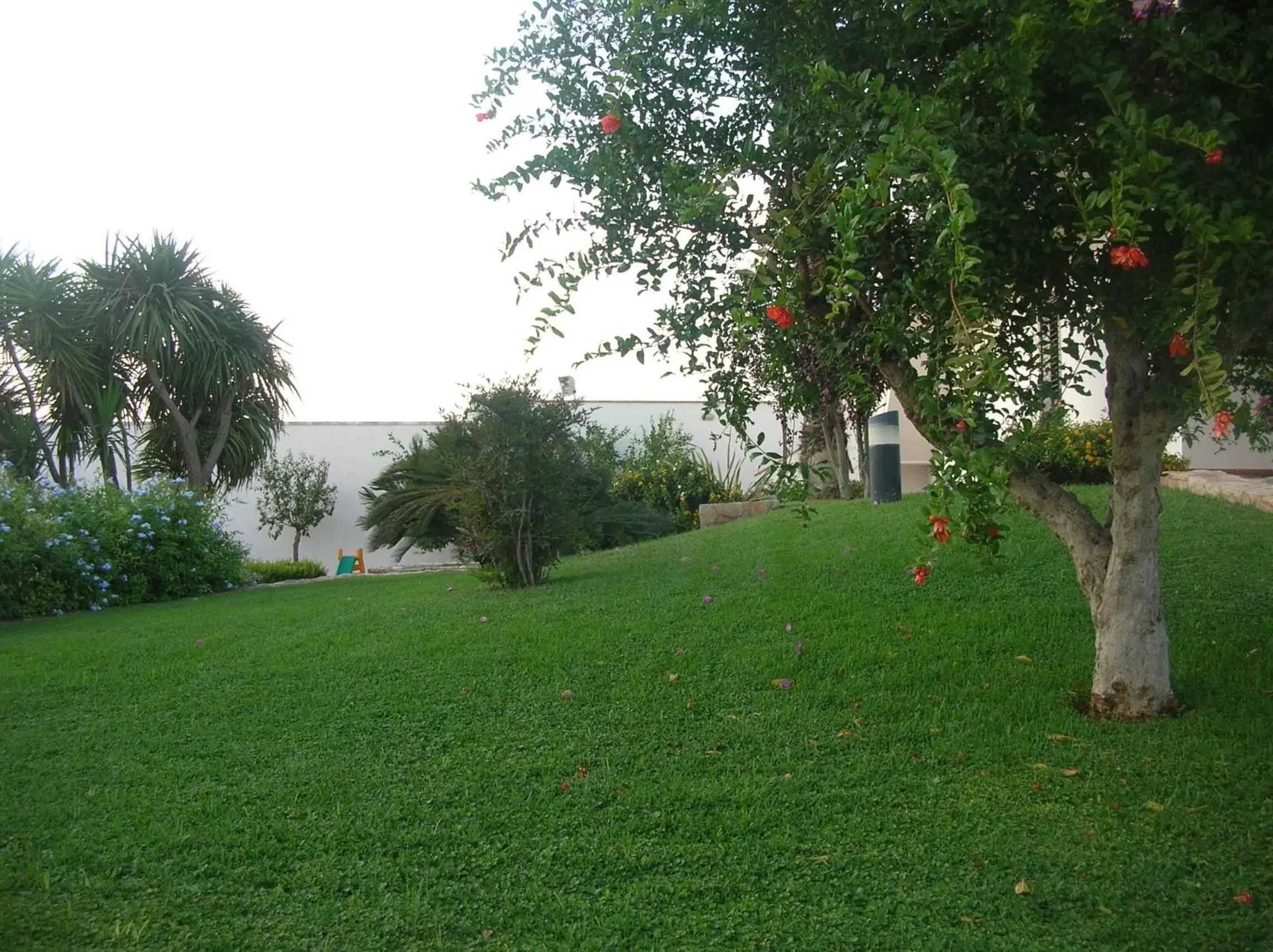 Property building, Garden in Le Schiavelle