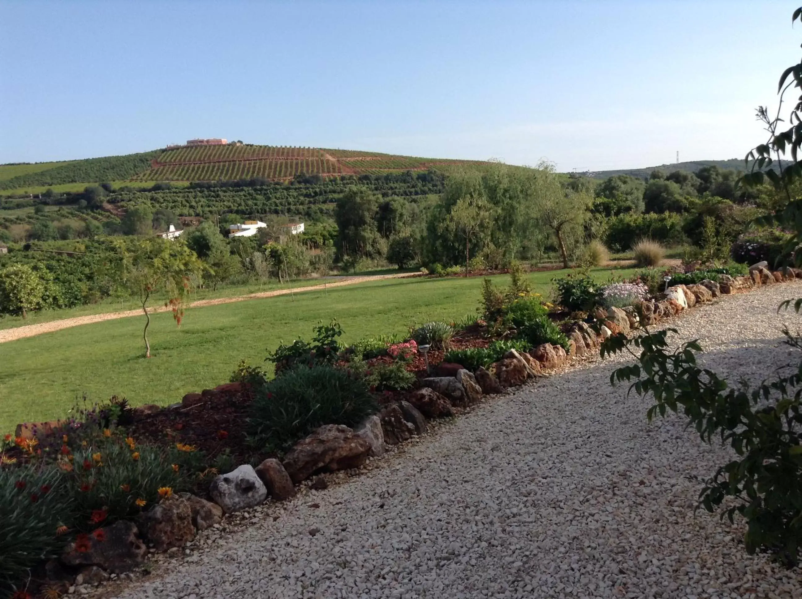 Garden view in Quinta da Luz - A Luxury Boutique B&B