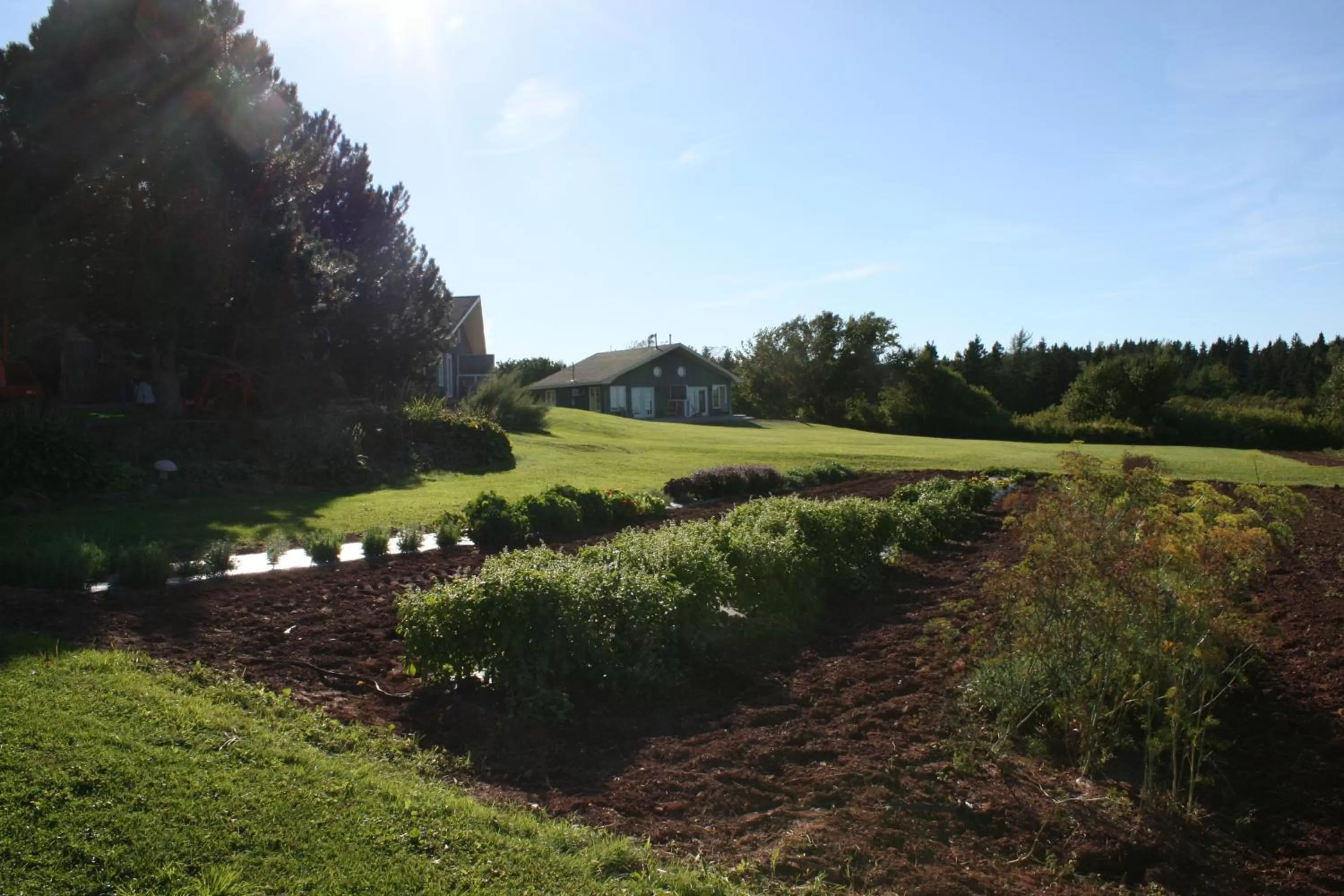 Garden in Amherst Shore Country Inn