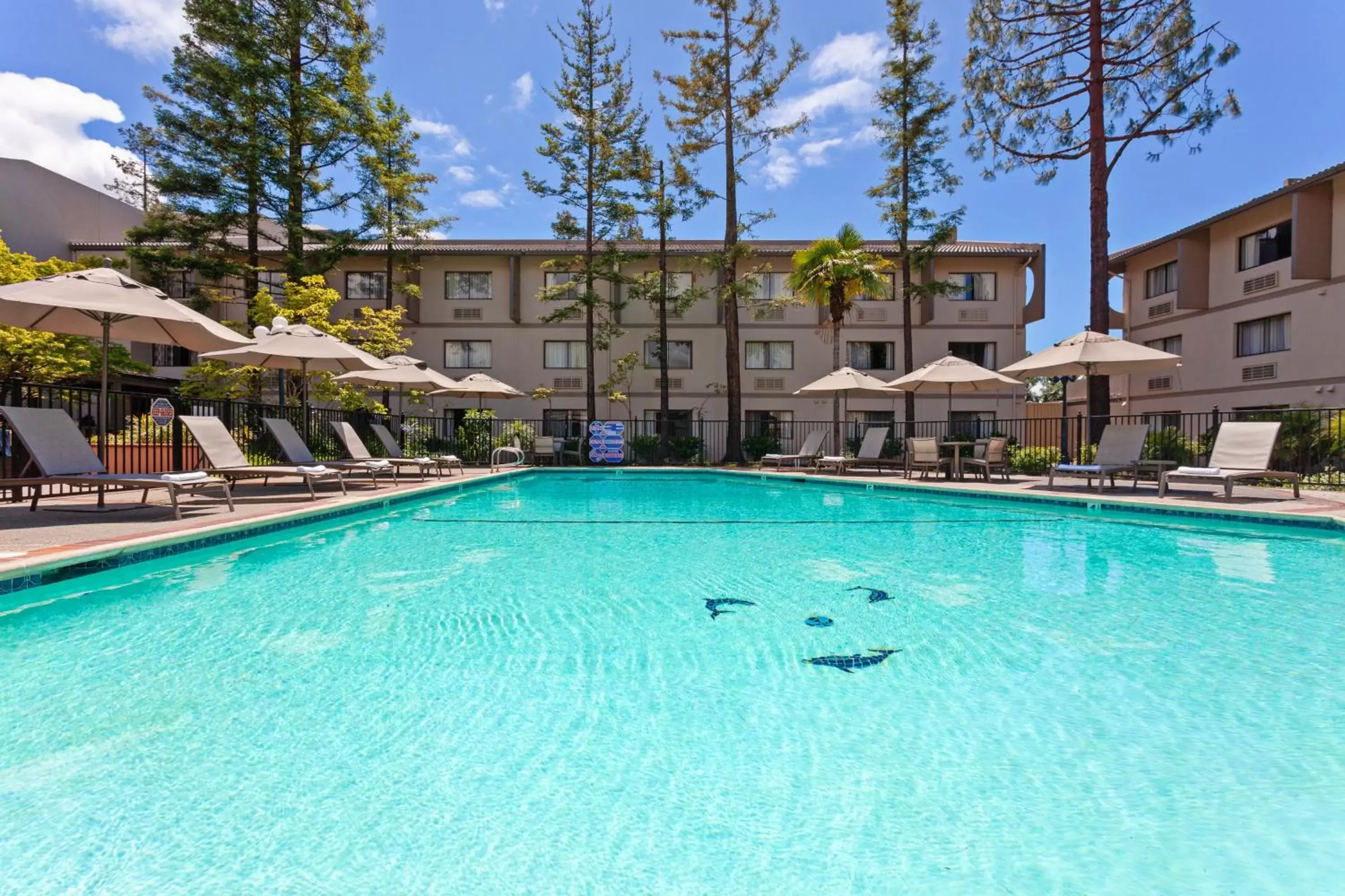 Swimming Pool in Crowne Plaza Silicon Valley North - Union City, an IHG Hotel