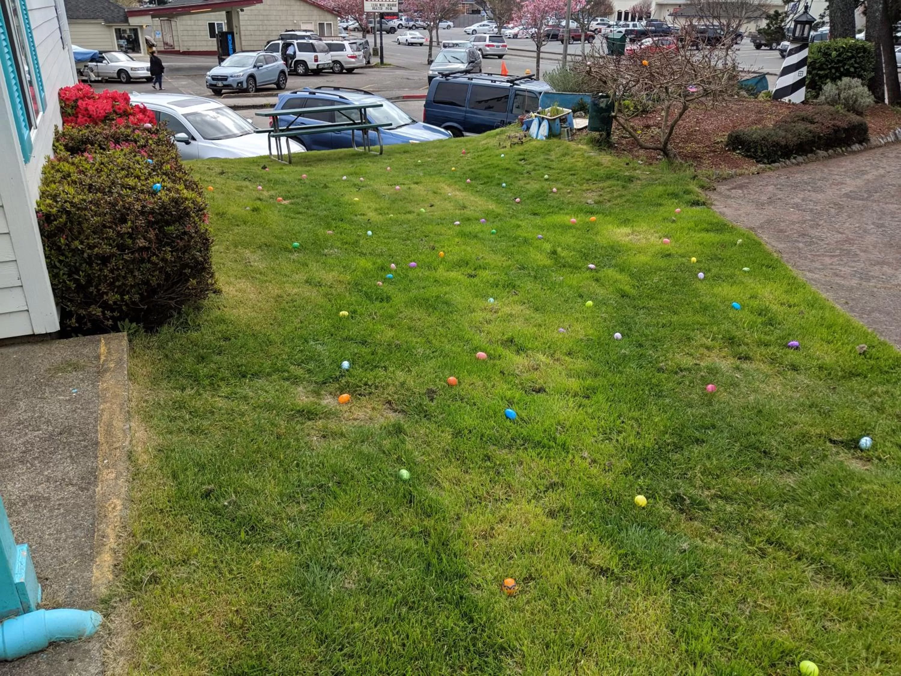 Inner courtyard view, Garden in Hillcrest Inn