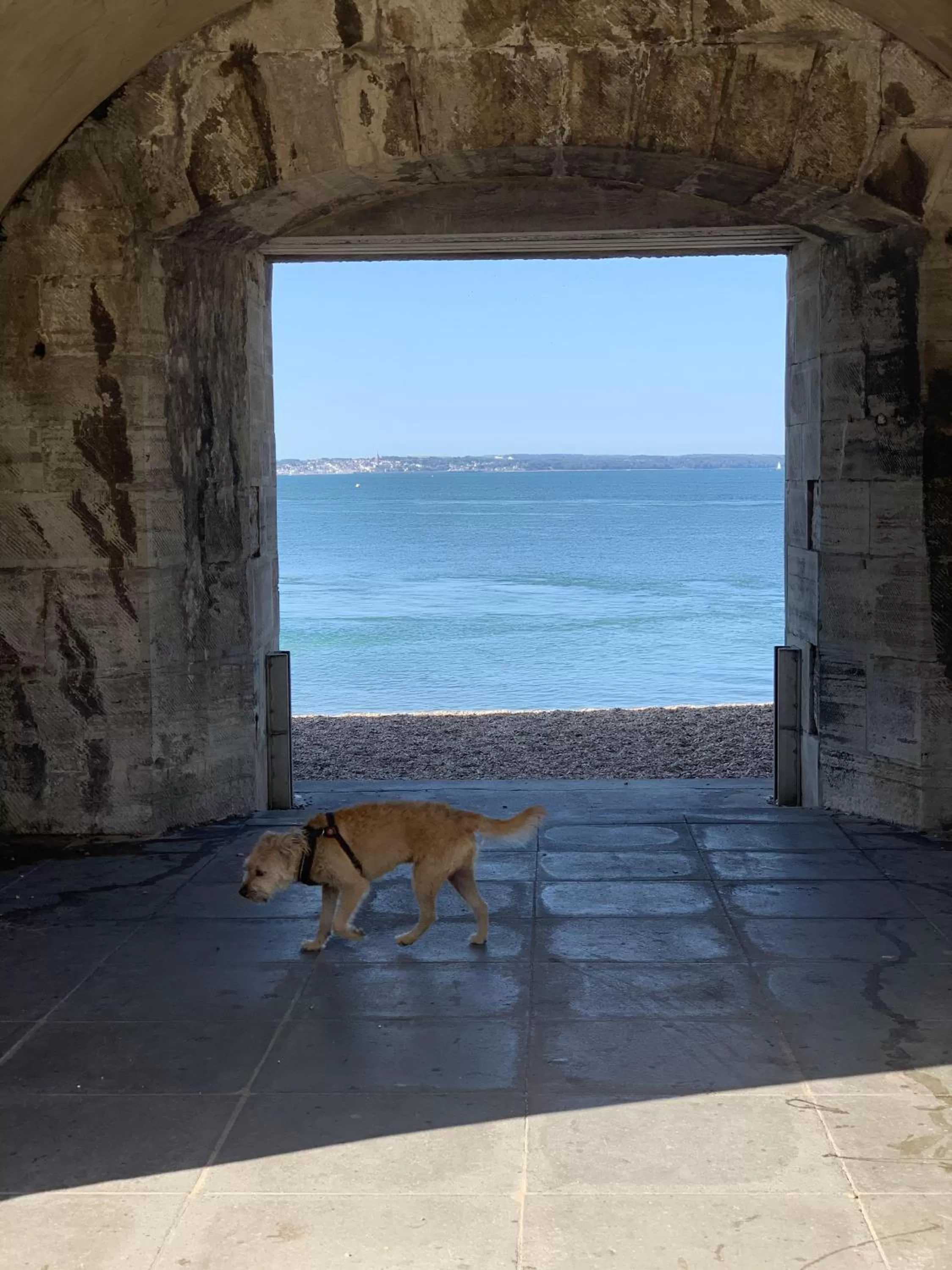 Neighbourhood in The Wellington Restaurant and Bar