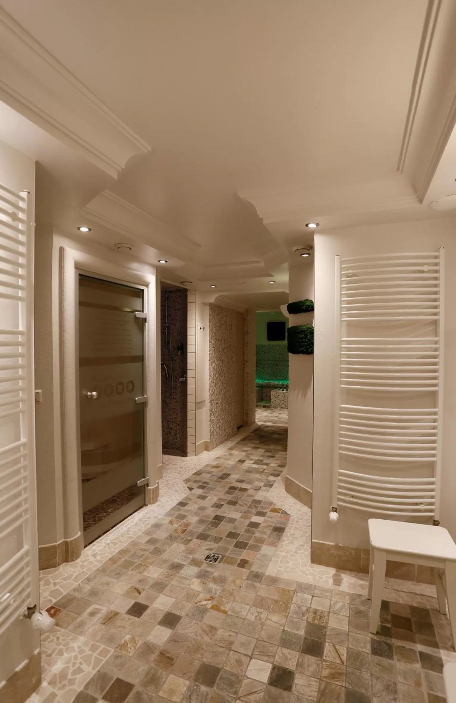 Spa and wellness centre/facilities in Villa Silva - Oberhof