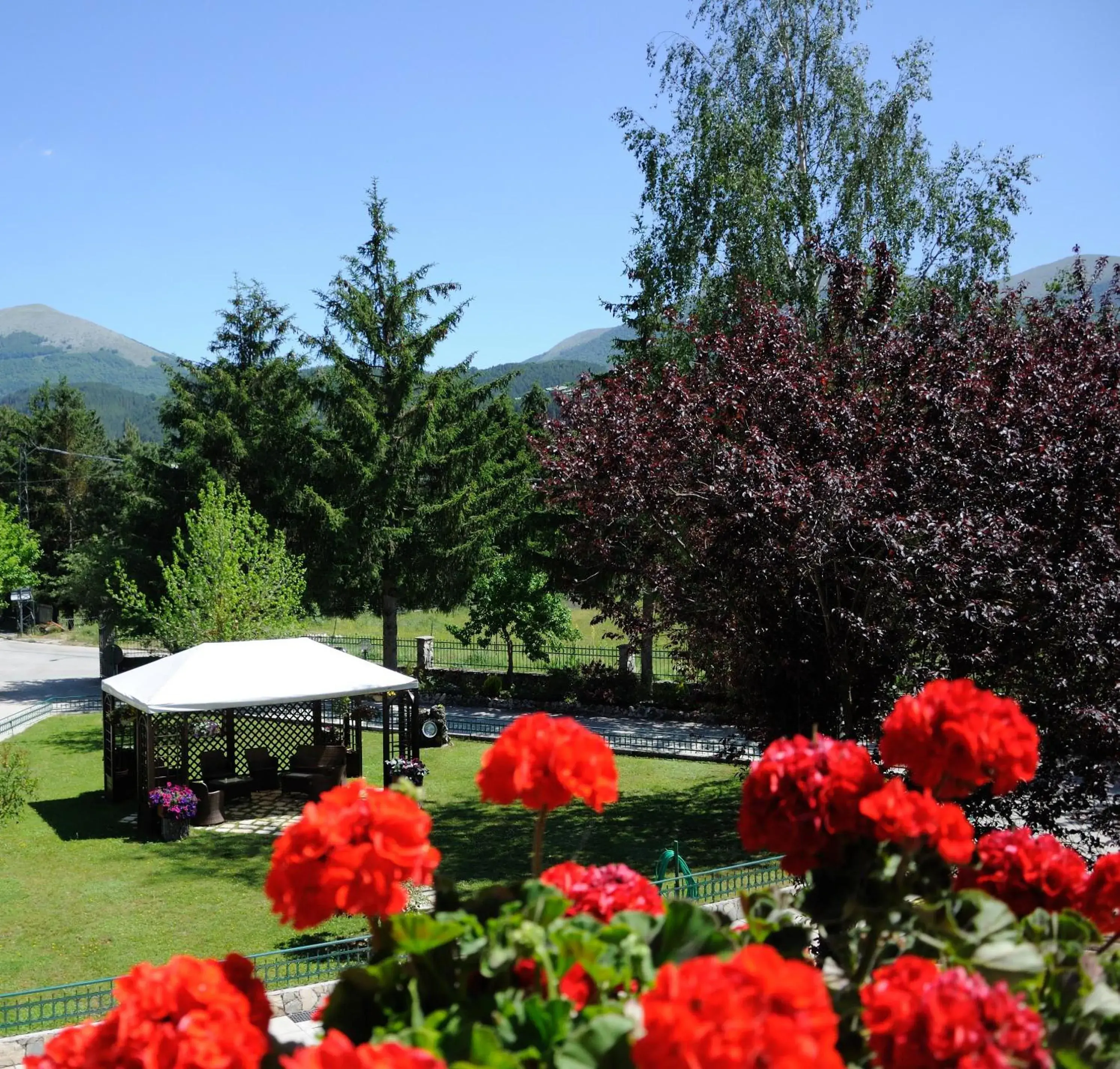 Garden view, Garden in Hotel Iris