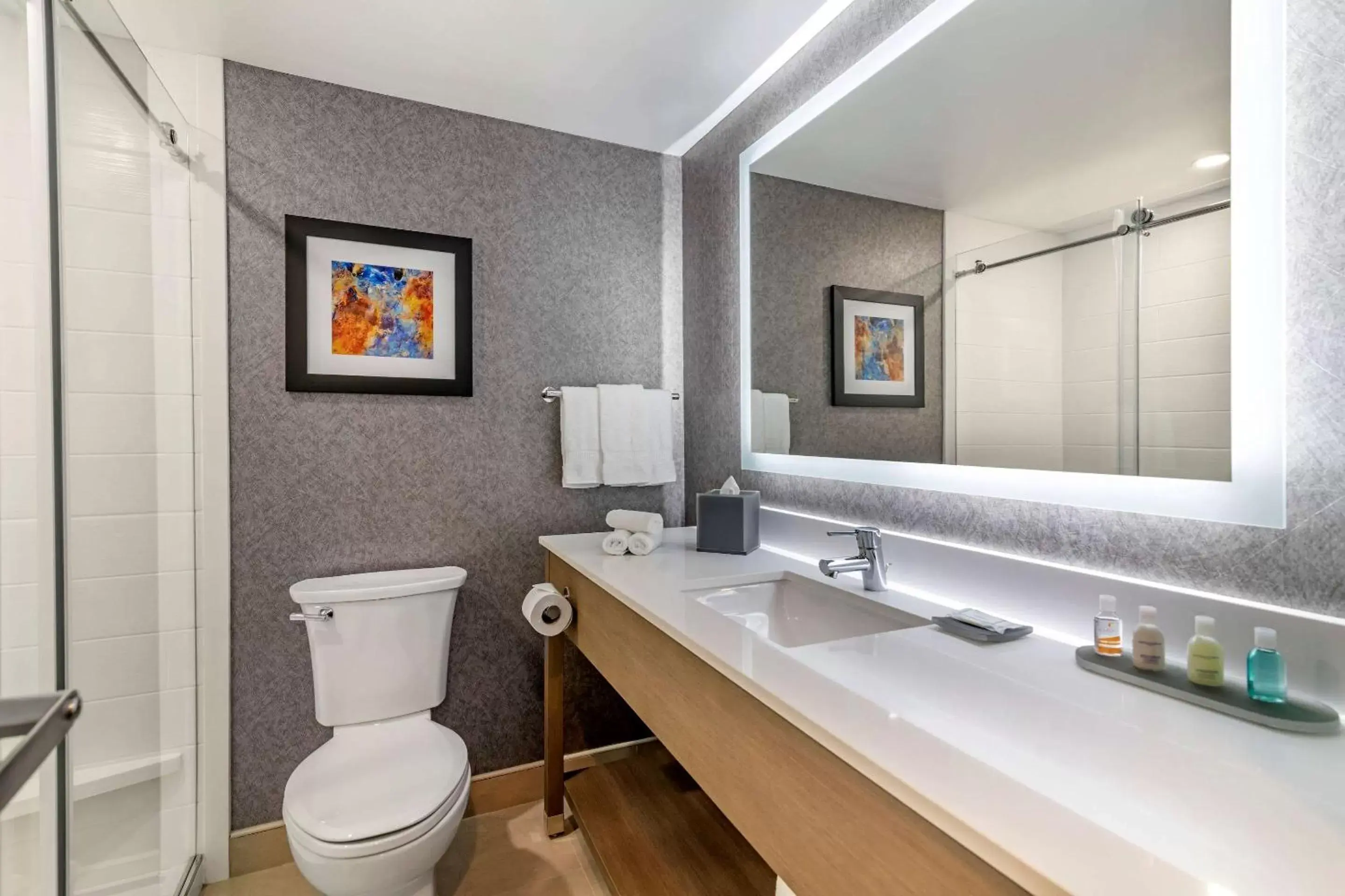 Bathroom in Clarion Inn Bathroom in Clarion Inn