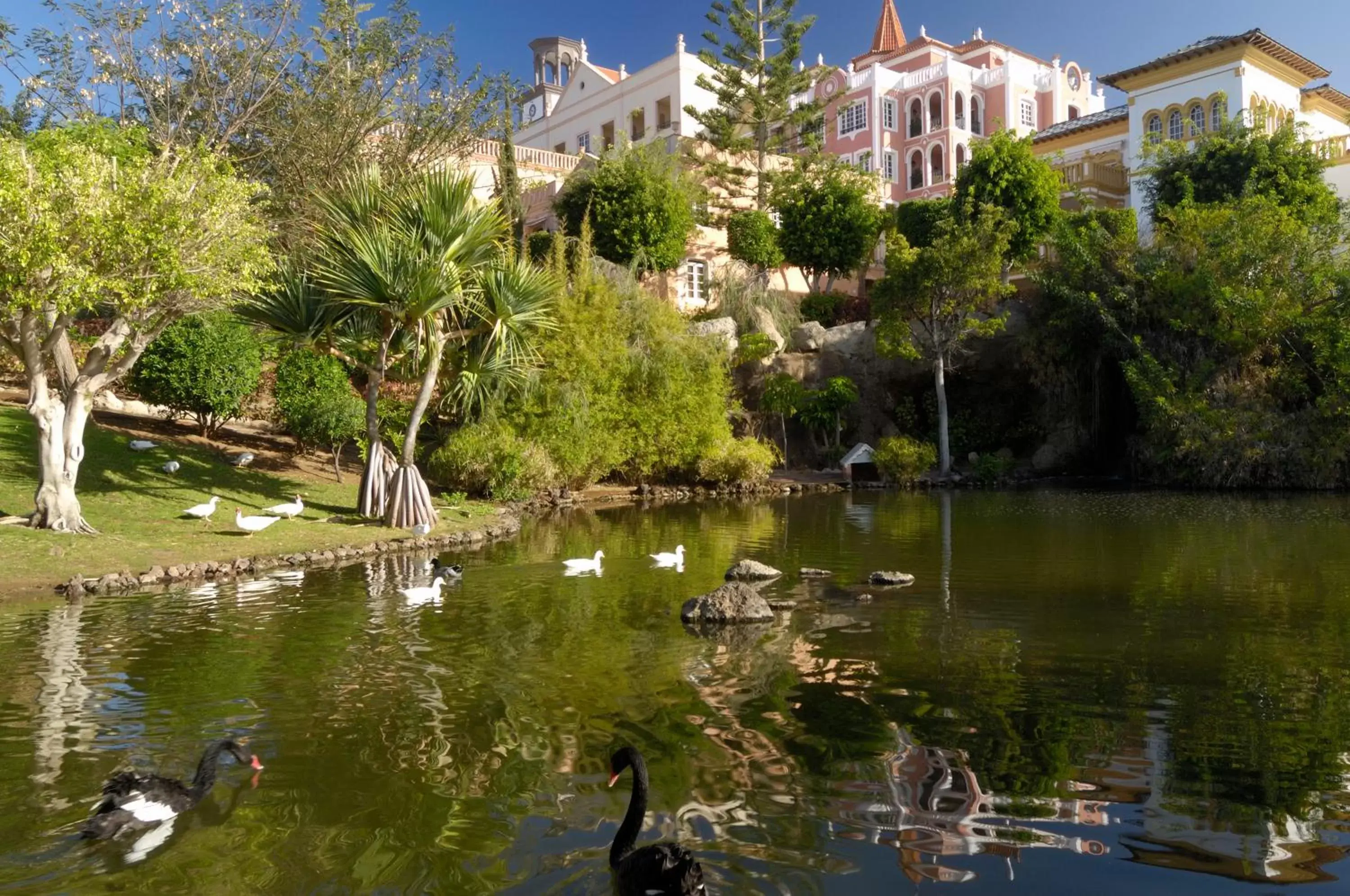 Garden in Bahia del Duque