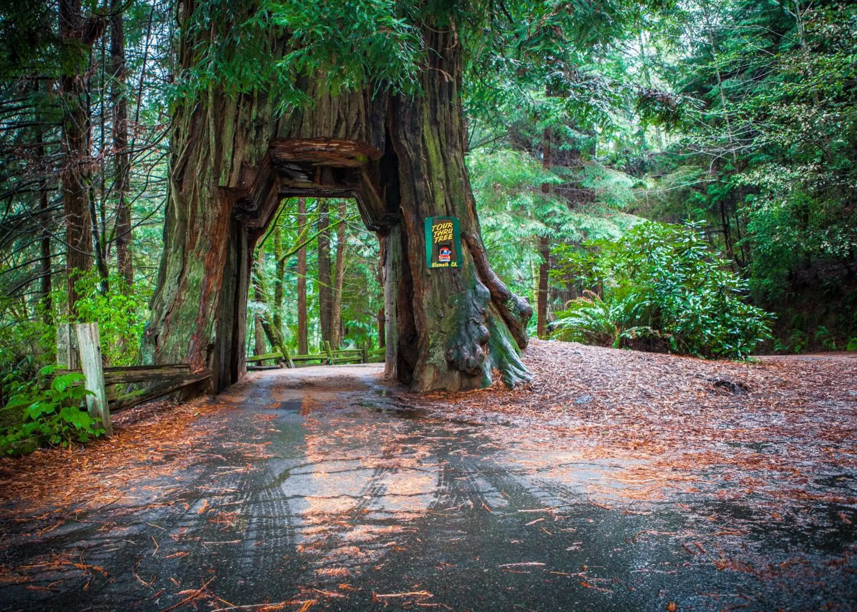 Nearby landmark in Holiday Inn Express Redwood National Park, an IHG Hotel