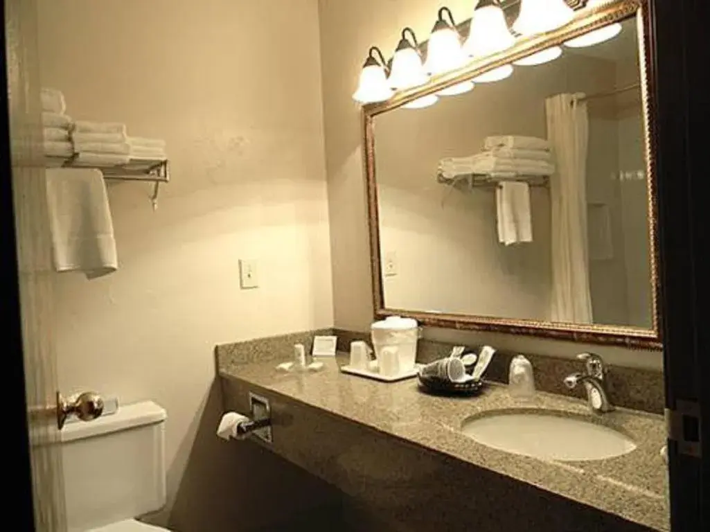 Bathroom in Boarders Inn & Suites by Cobblestone Hotels - Munising