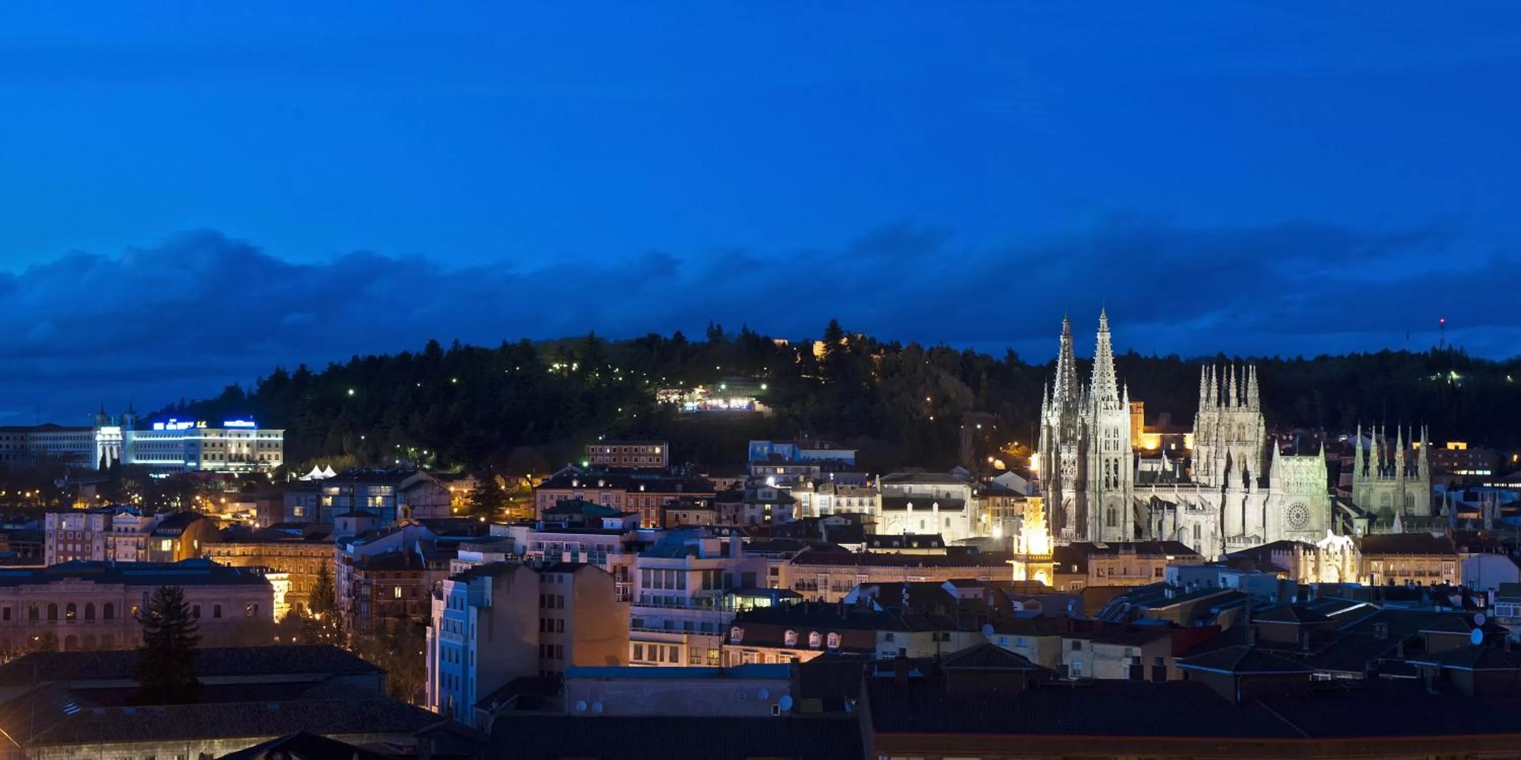 City view in RICE Bulevar