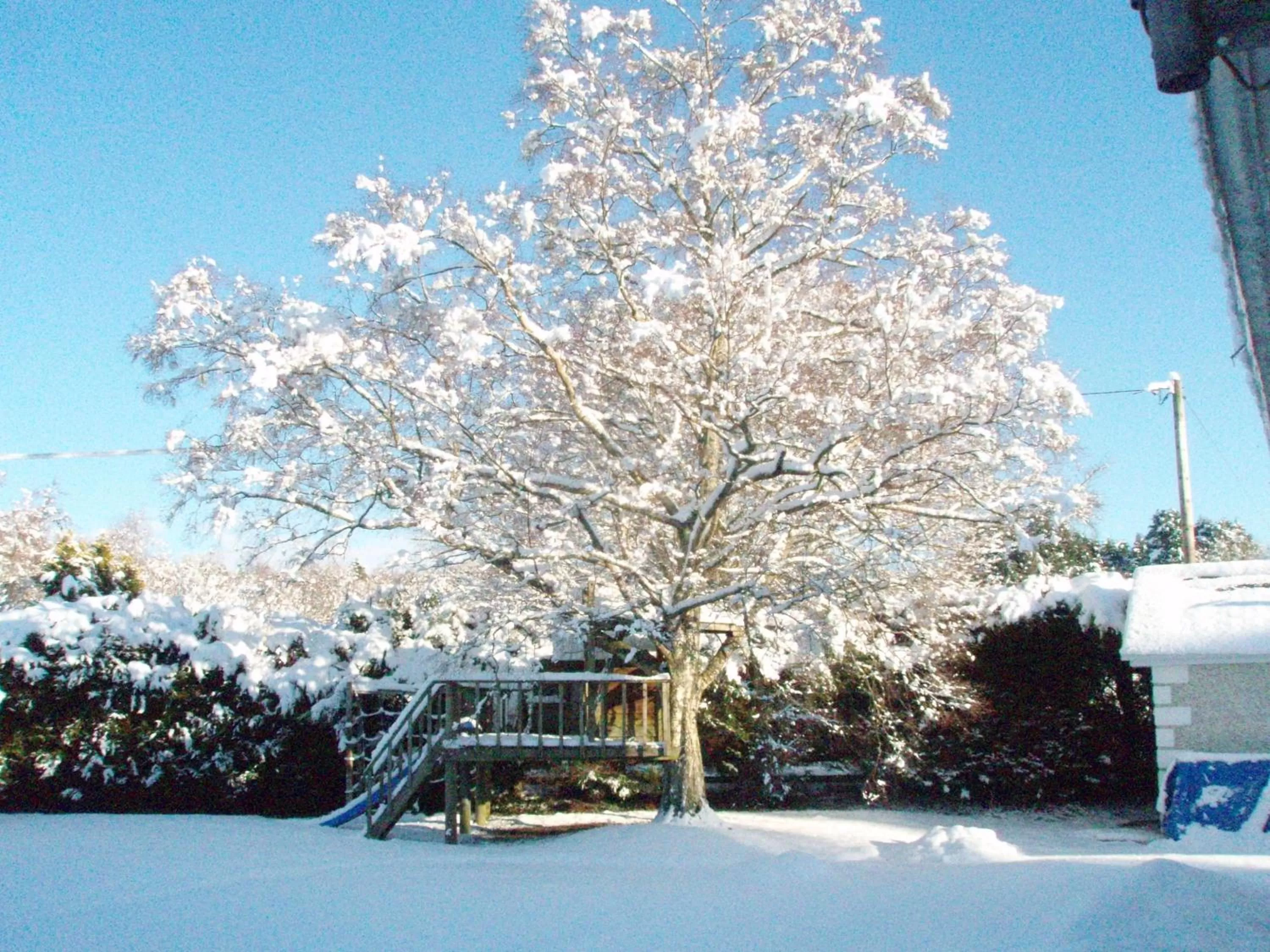 Day in Birchdale House B&B