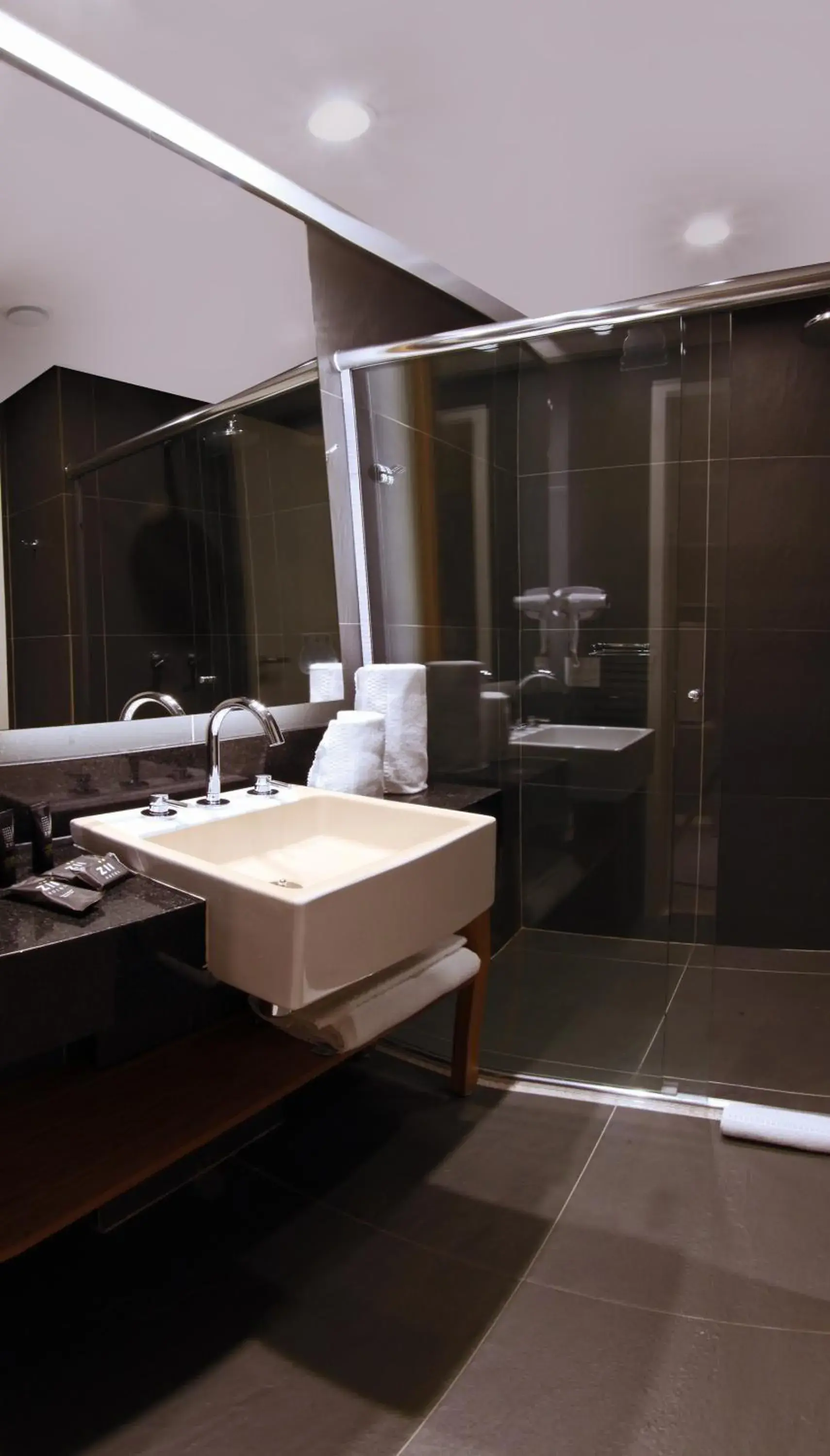 Toilet, Bathroom in Ibis Styles RJ Botafogo