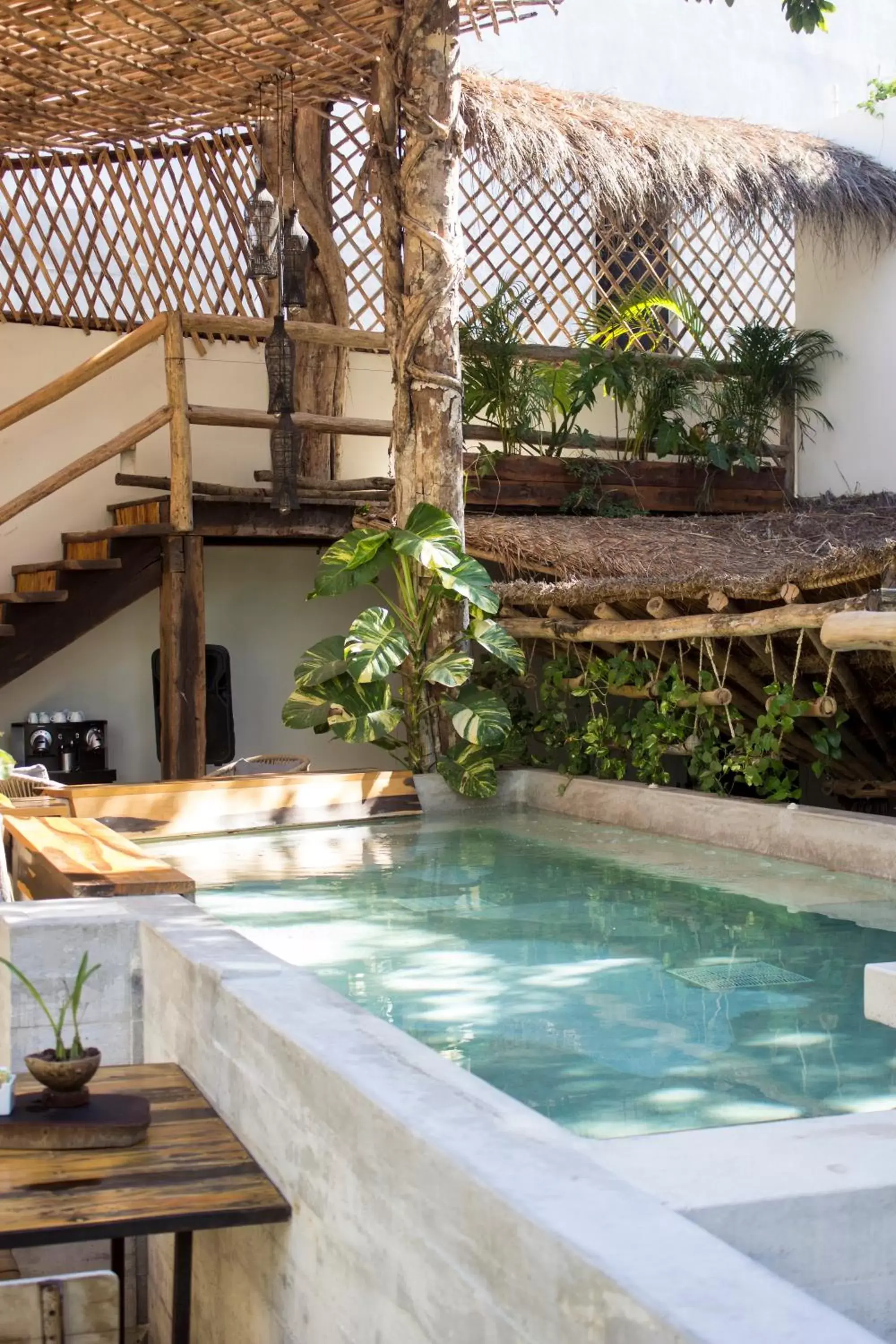 Swimming Pool in Orchid House Tulum