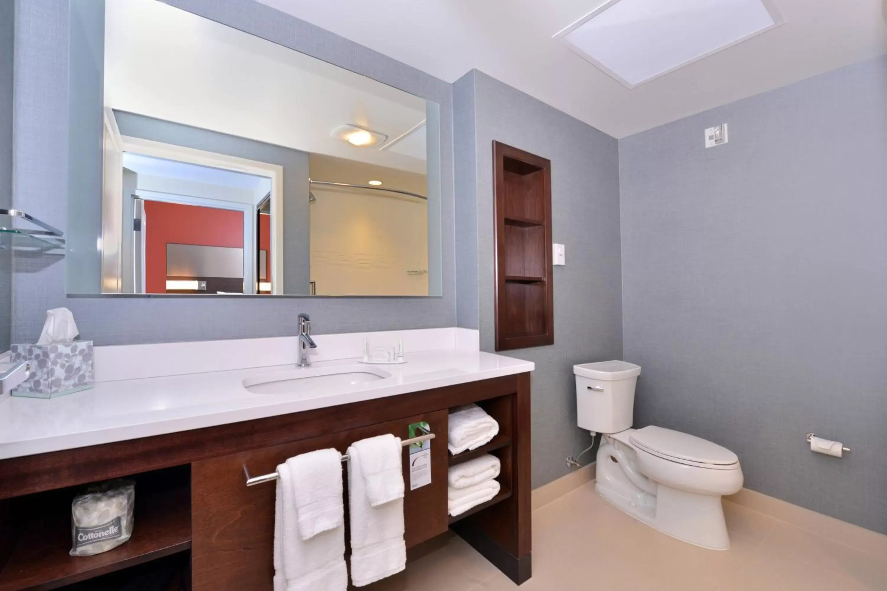 Bathroom in Residence Inn by Marriott East Lansing