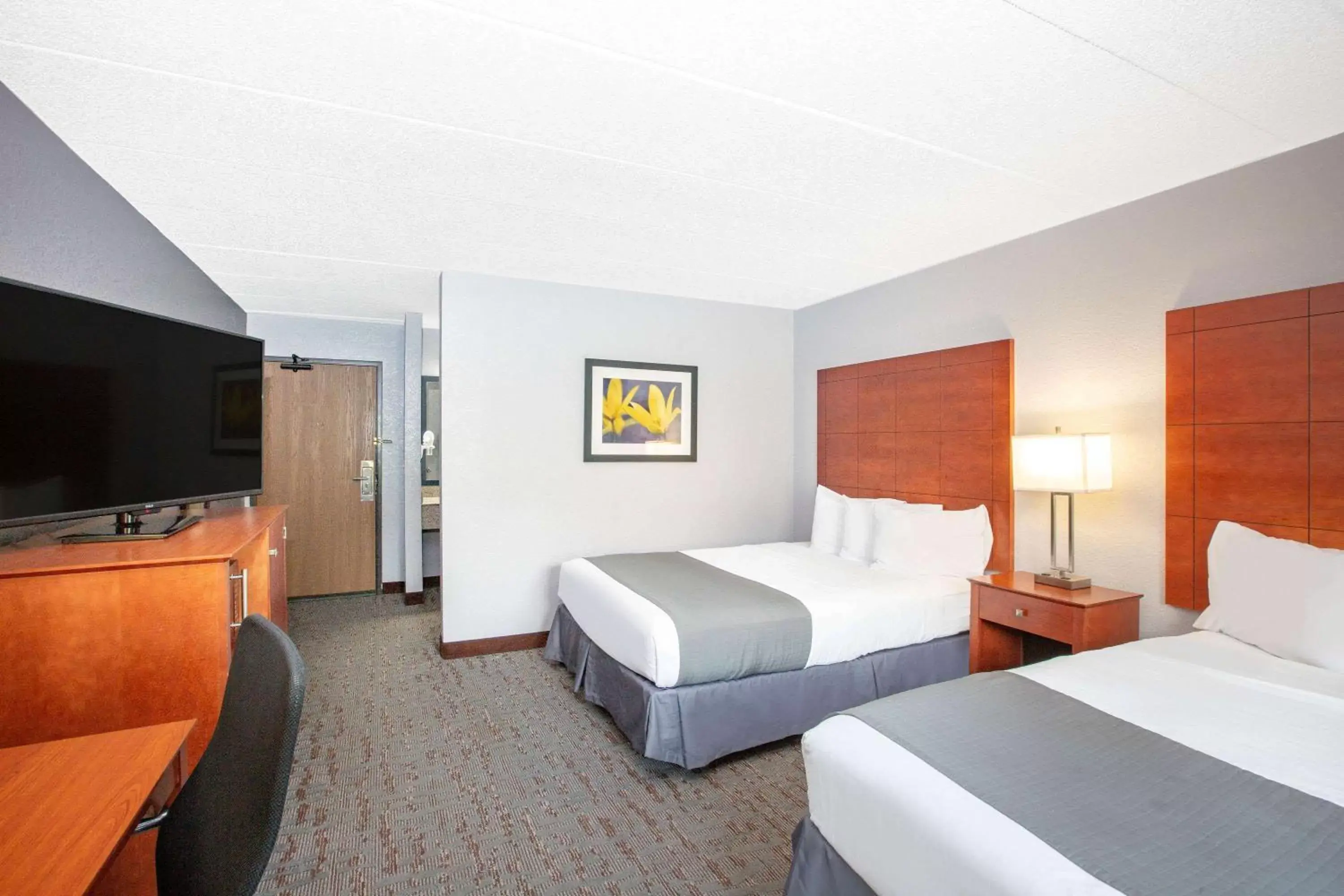 Photo of the whole room, Bed in AmericInn by Wyndham Ankeny/Des Moines
