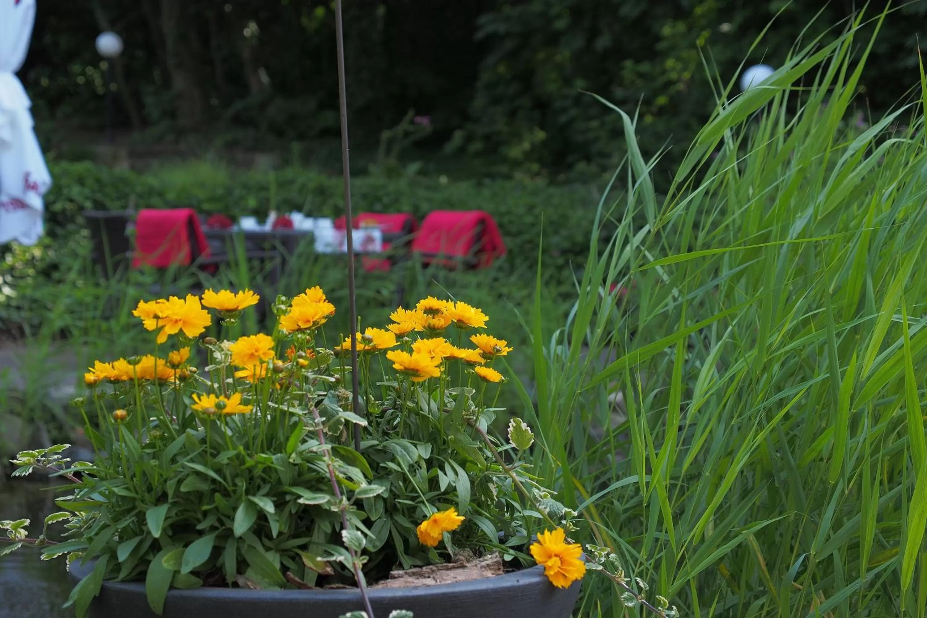 Spring in Hotel Schlossvilla Derenburg