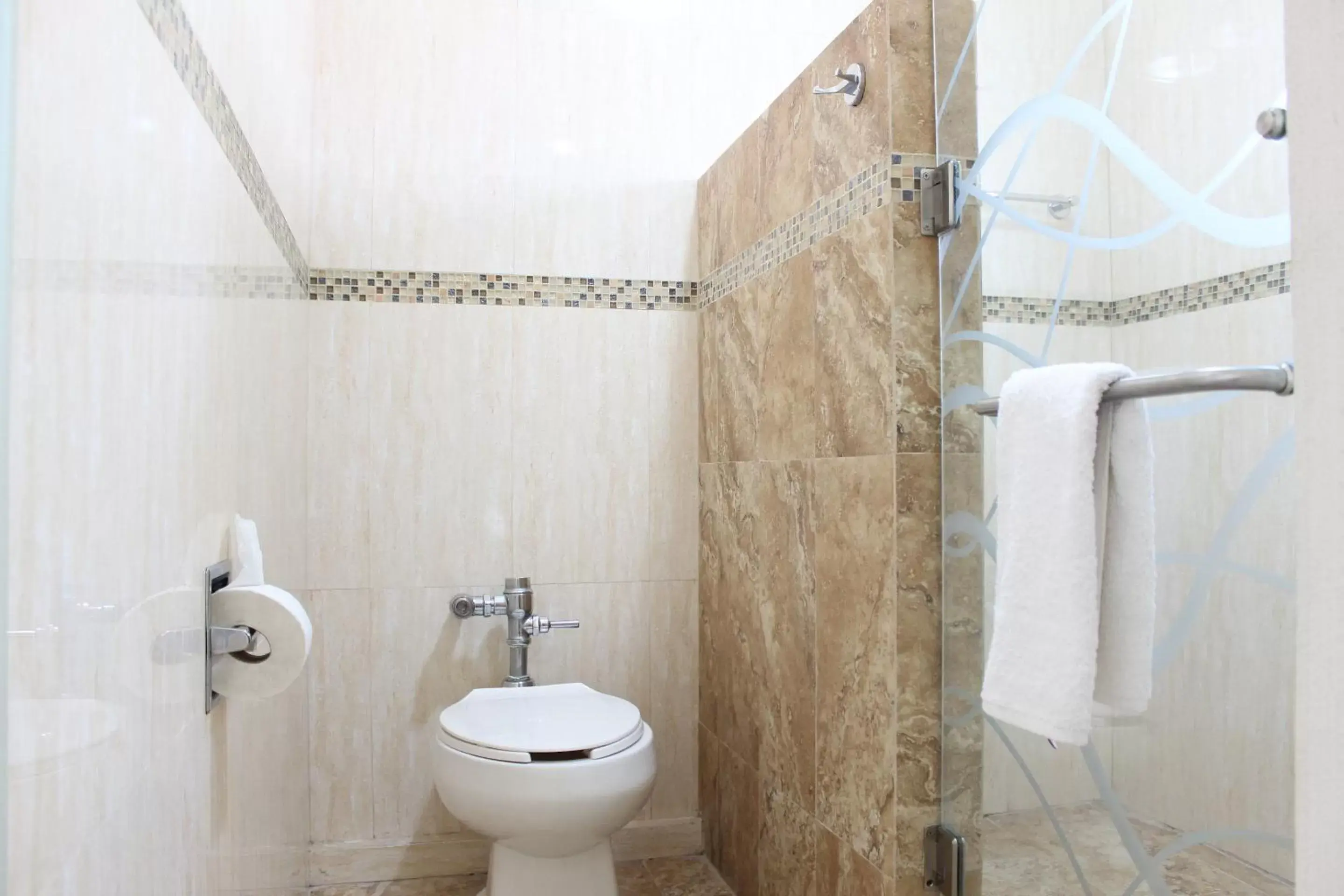 Toilet, Bathroom in Hotel Flamingo Irapuato