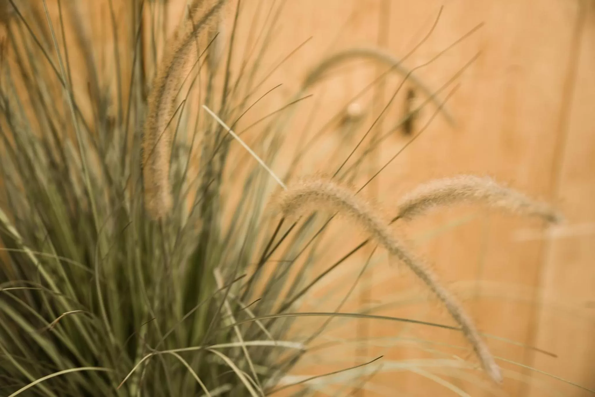 Decorative detail in Ragip Pasha Apartments