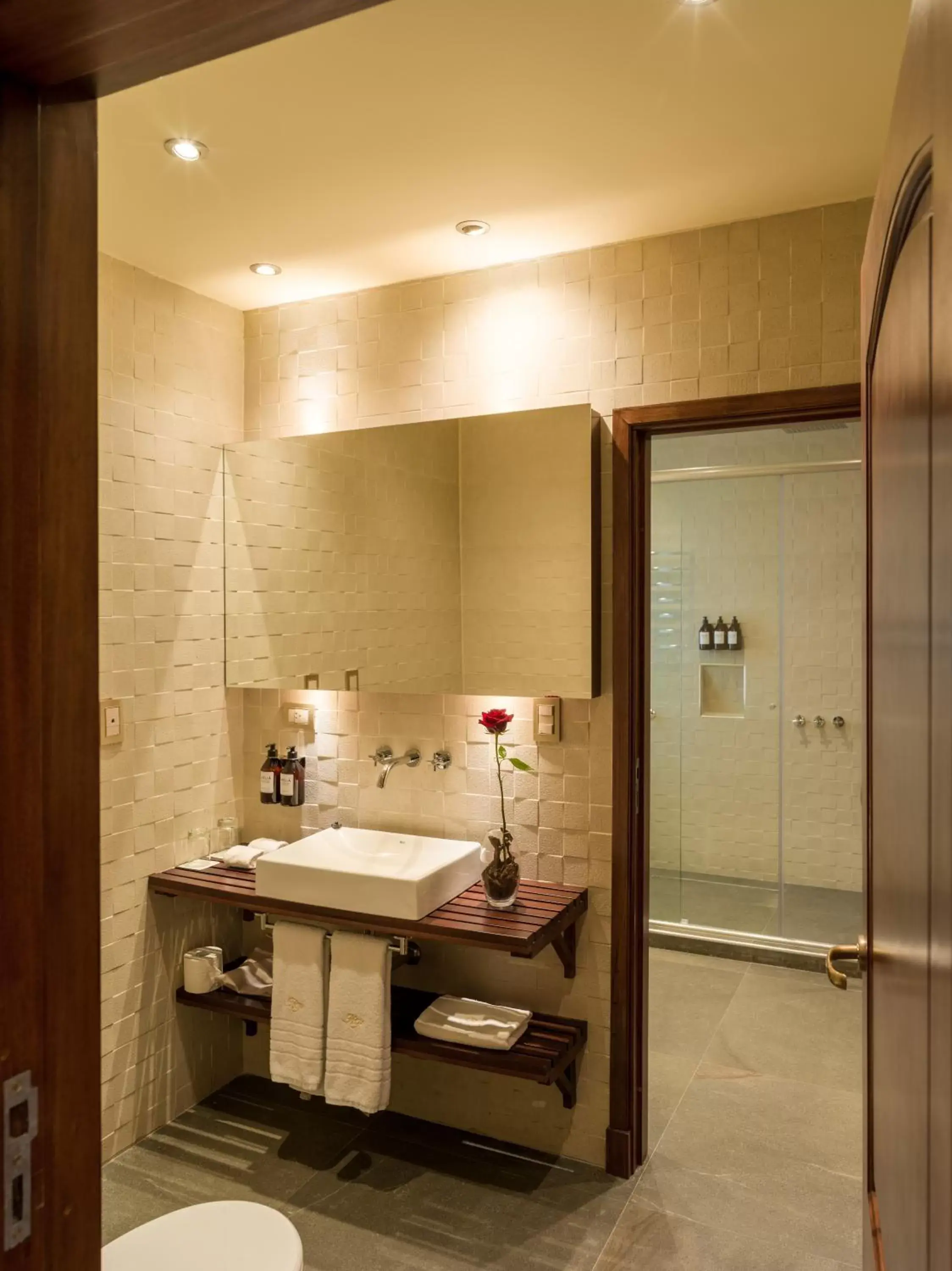 Toilet, Bathroom in Melia Recoleta Plaza Hotel