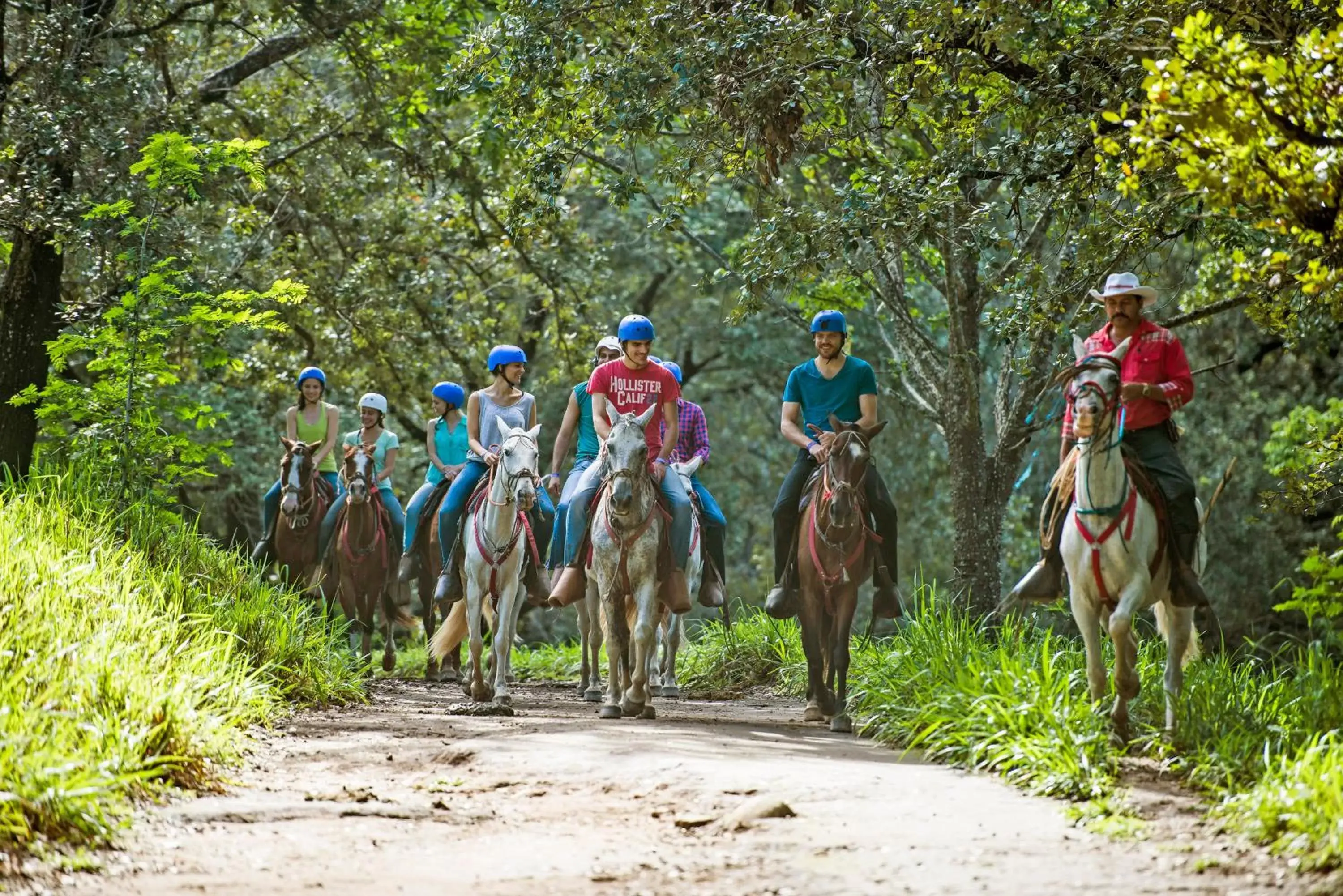 Natural landscape in Hacienda Guachipelin Volcano Ranch Hotel & Hot Springs