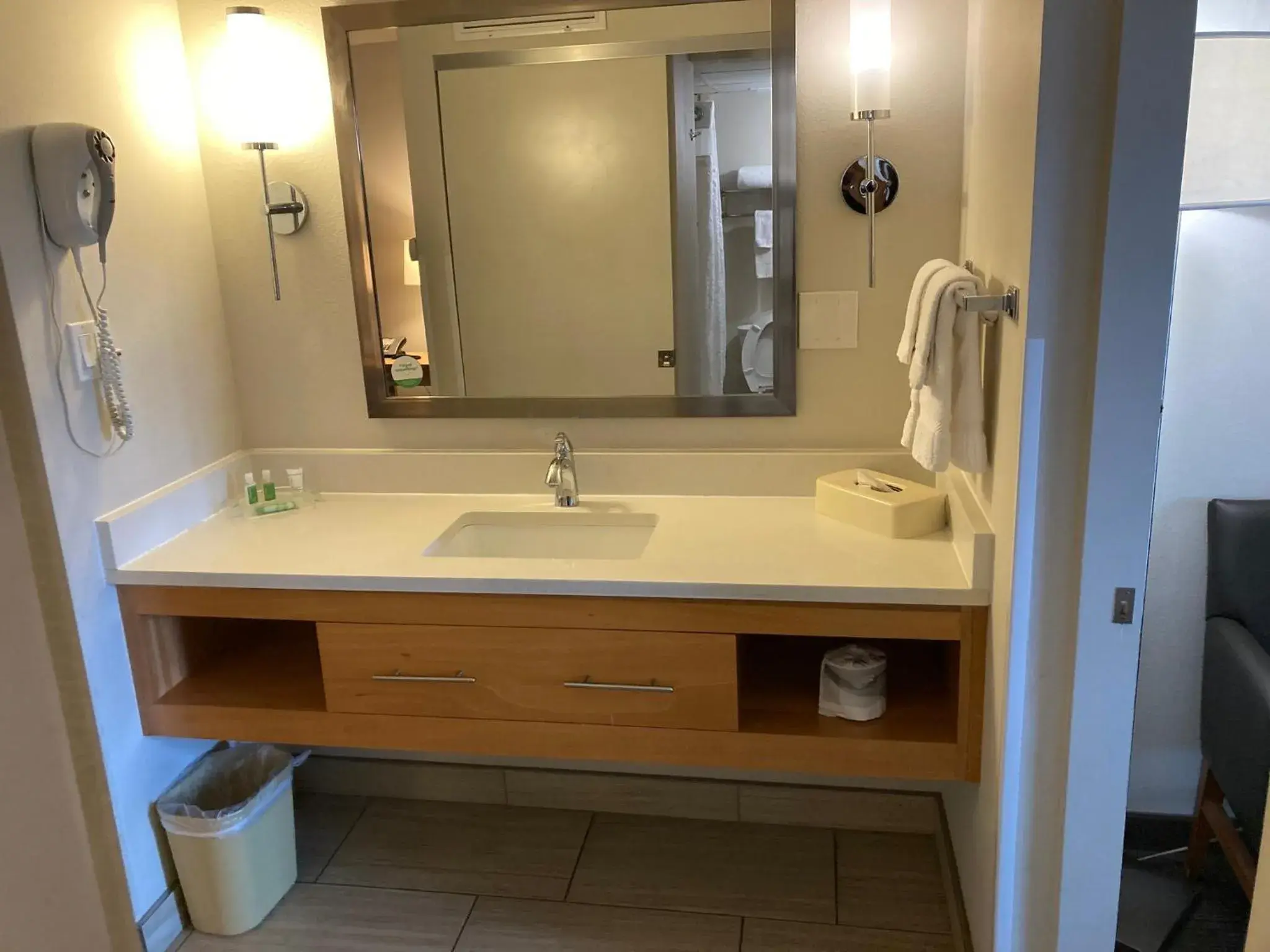 Bathroom in Red Roof Inn PLUS & Suites Tampa