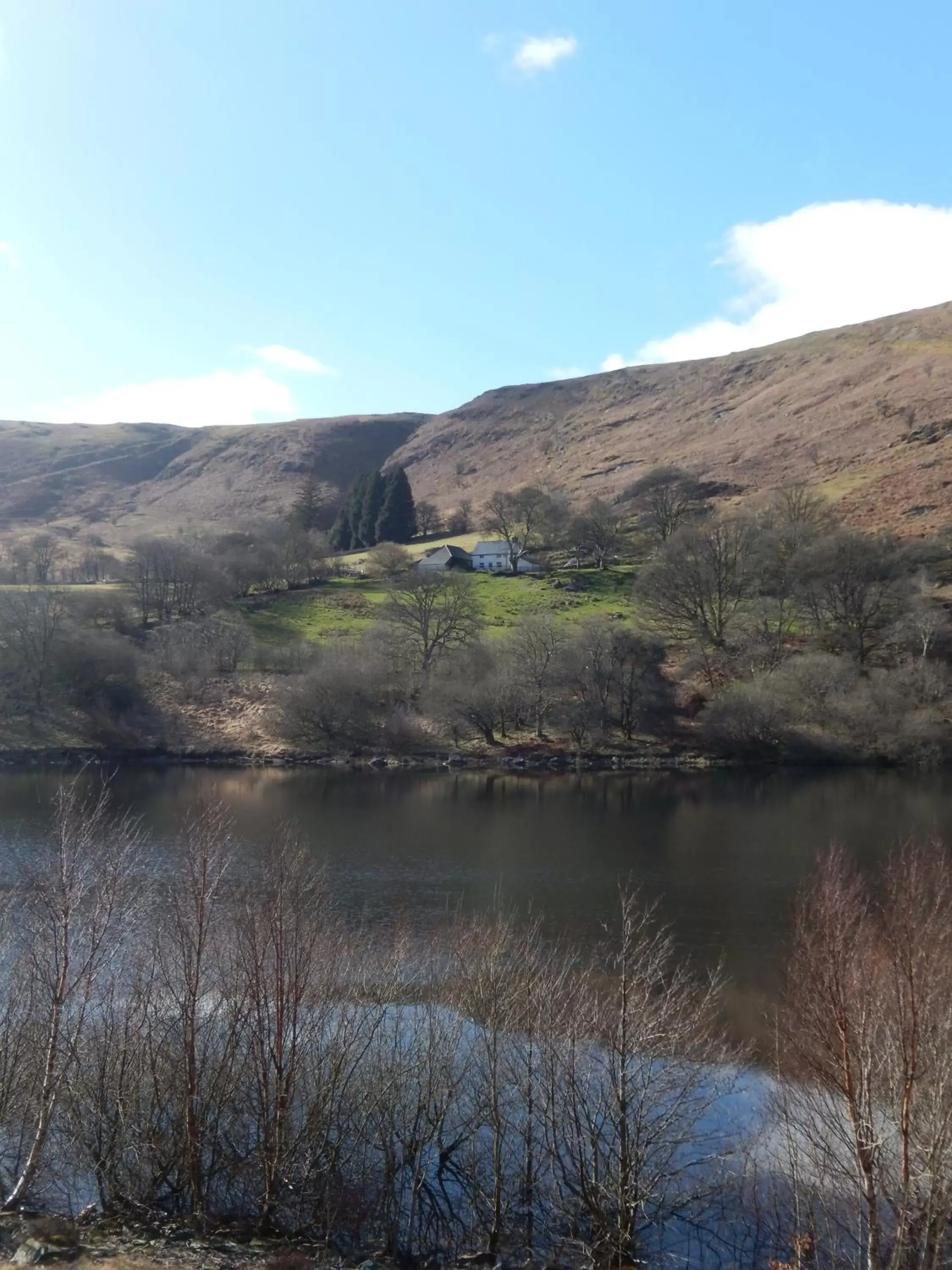 Natural landscape in Penbont House