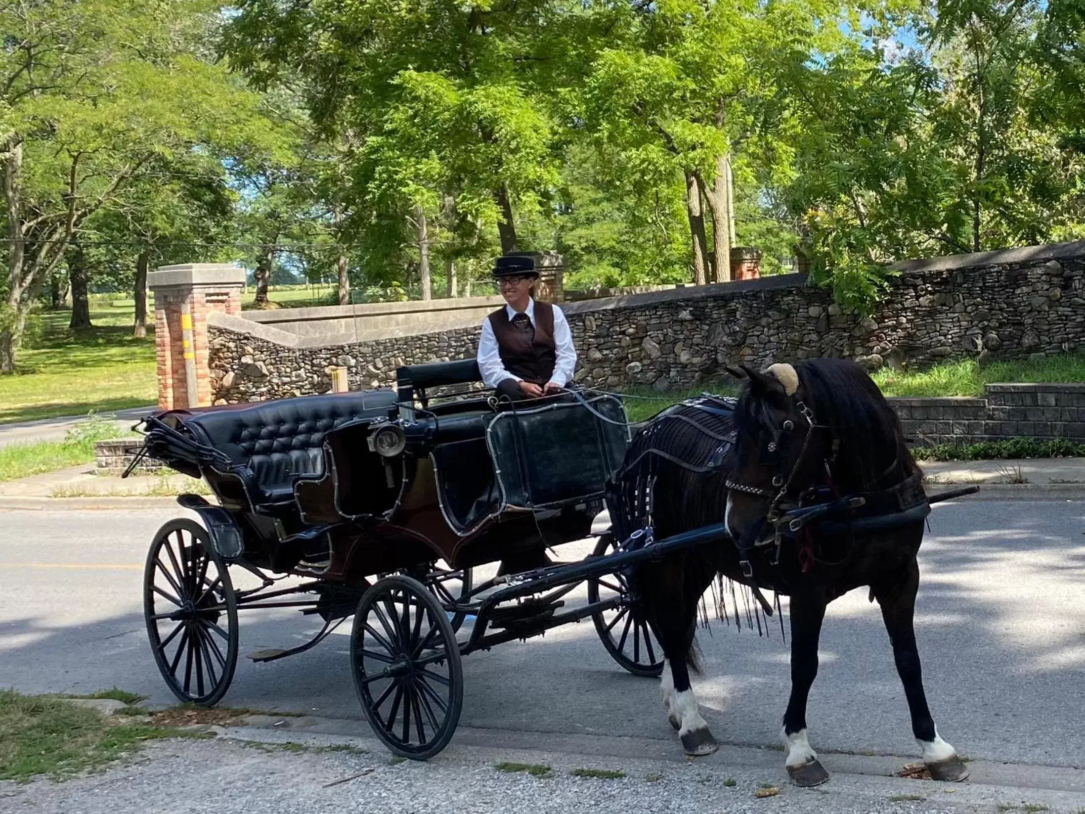 Horse-riding in Darlington House Bed and Breakfast